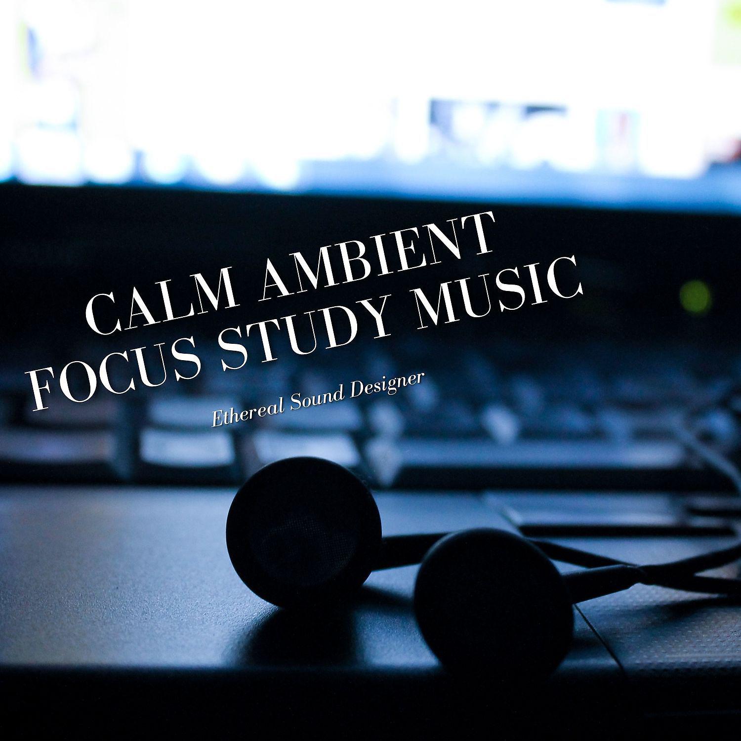 Постер альбома Calm Ambient Focus Study Music