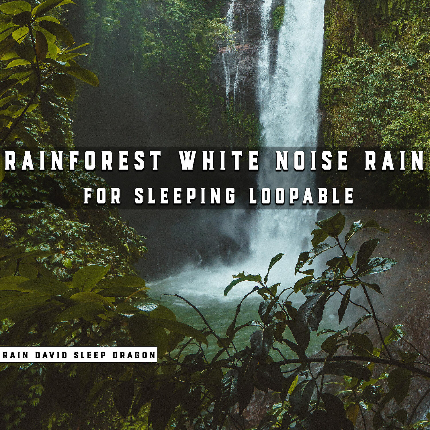 Rain David Sleep Dragon - Condensation Peace