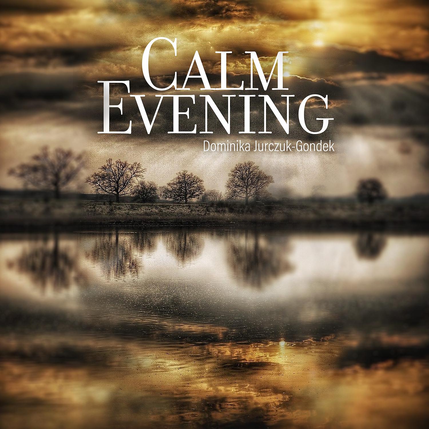 Постер альбома Calm Evening