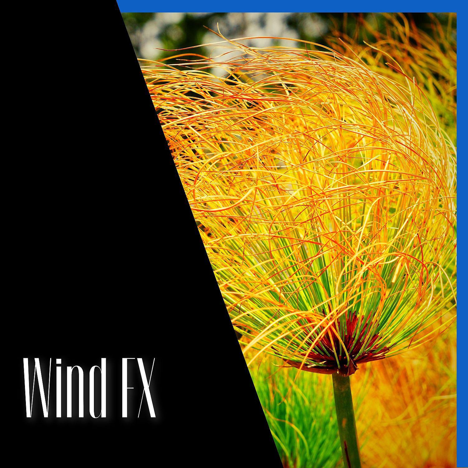 Постер альбома Wind FX, Healing Noise