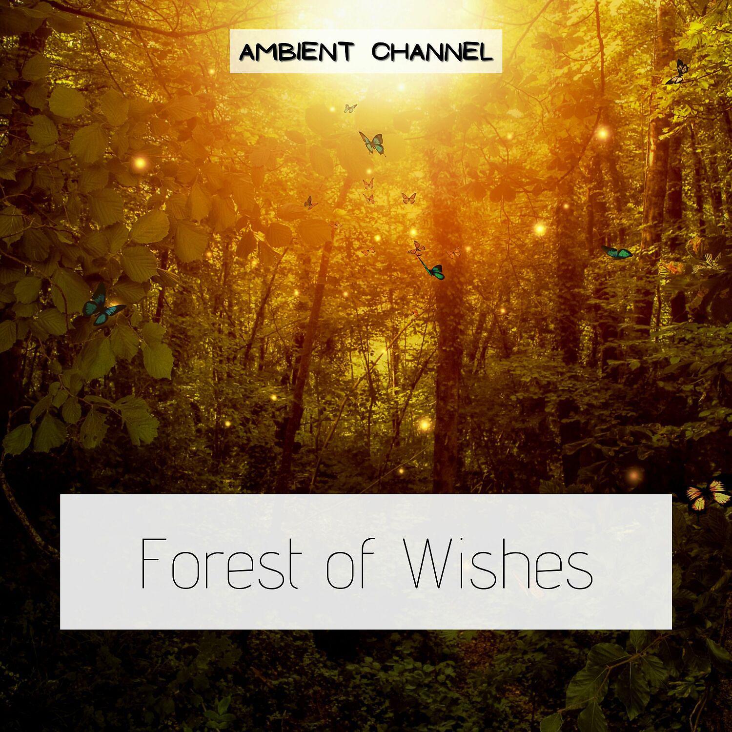 Постер альбома Forest of Wishes (Chillout, Ambient, Piano)