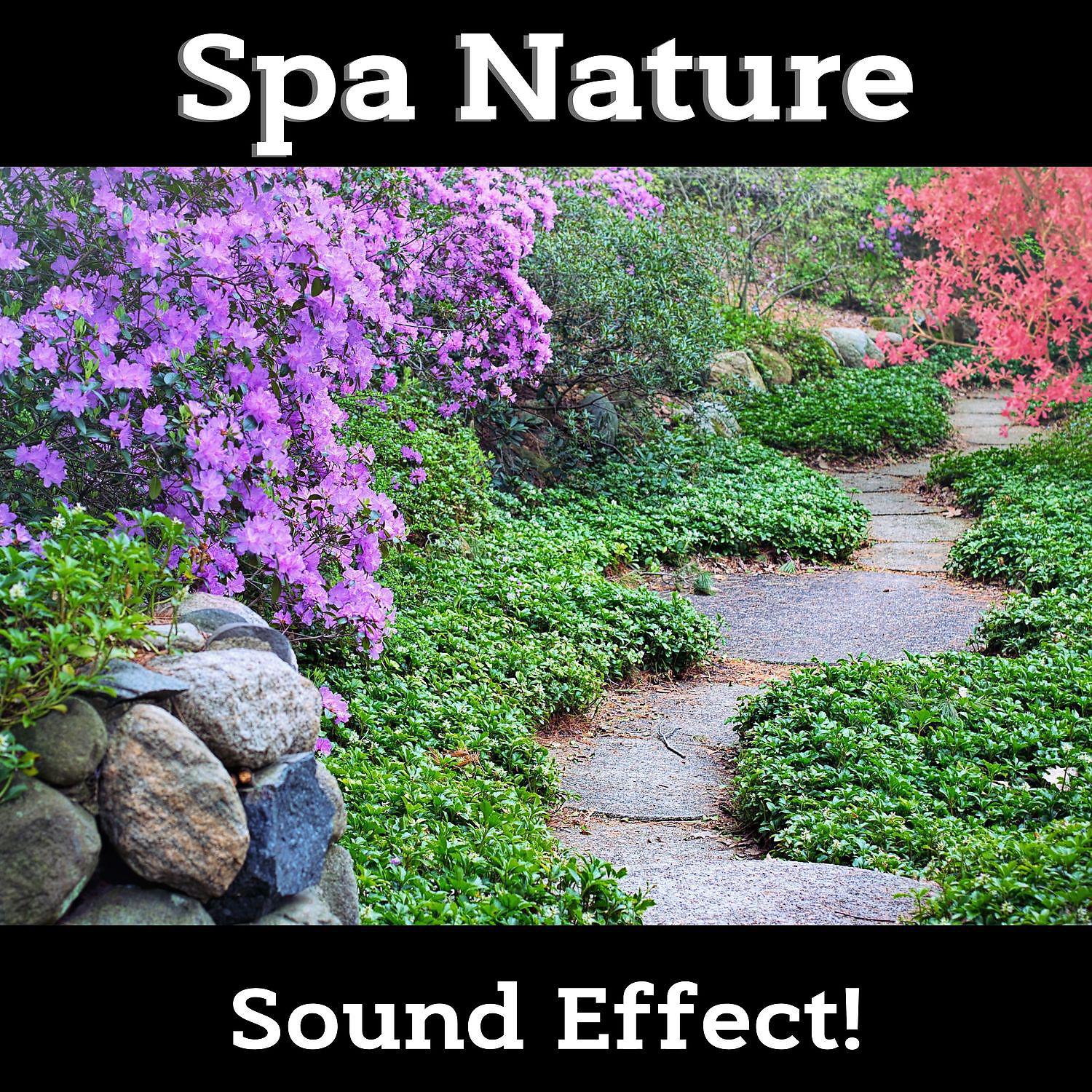 Постер альбома Spa Nature Sounds for Deep Relaxation