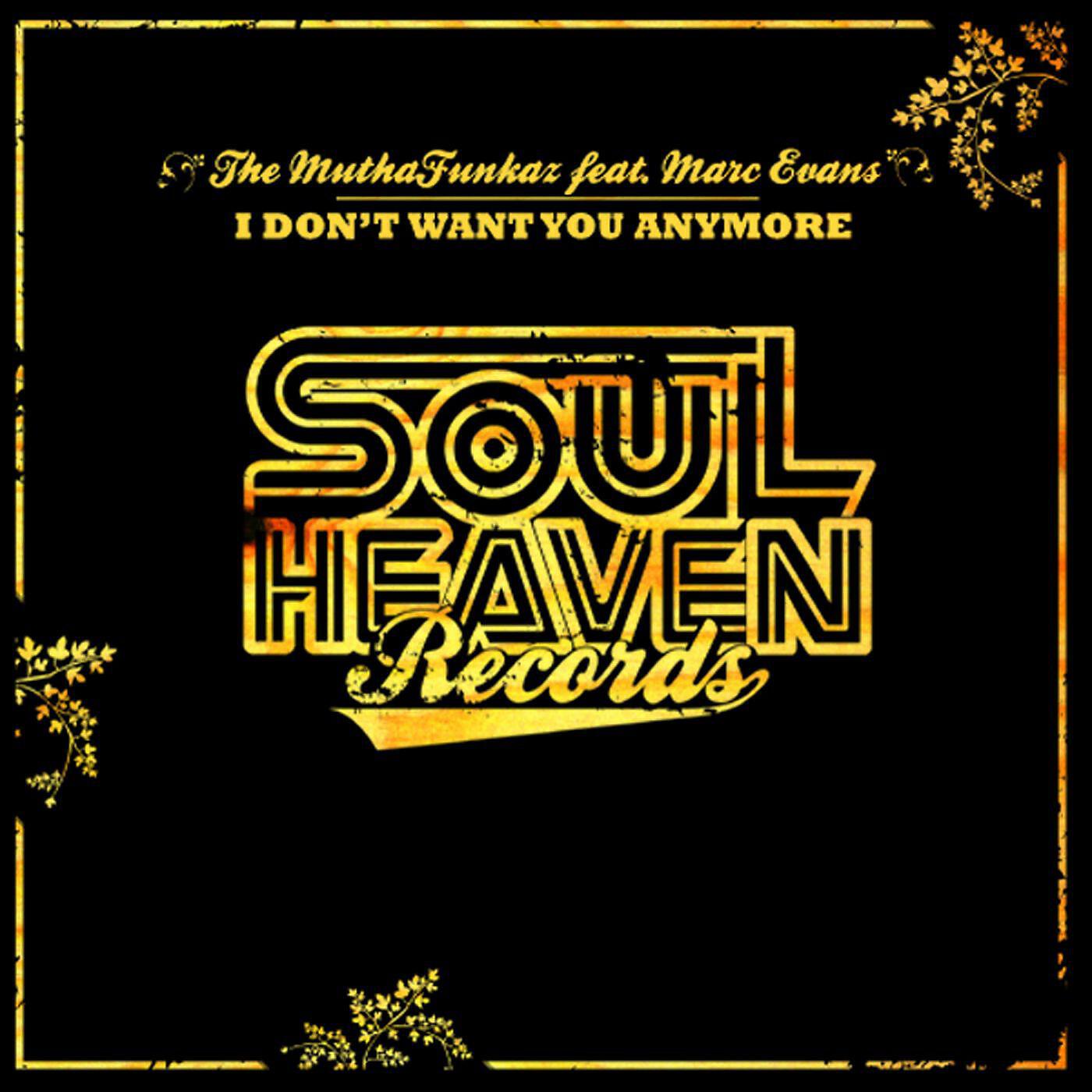 The MuthaFunkaz - I Don't Want You Anymore (feat. Marc Evans)
