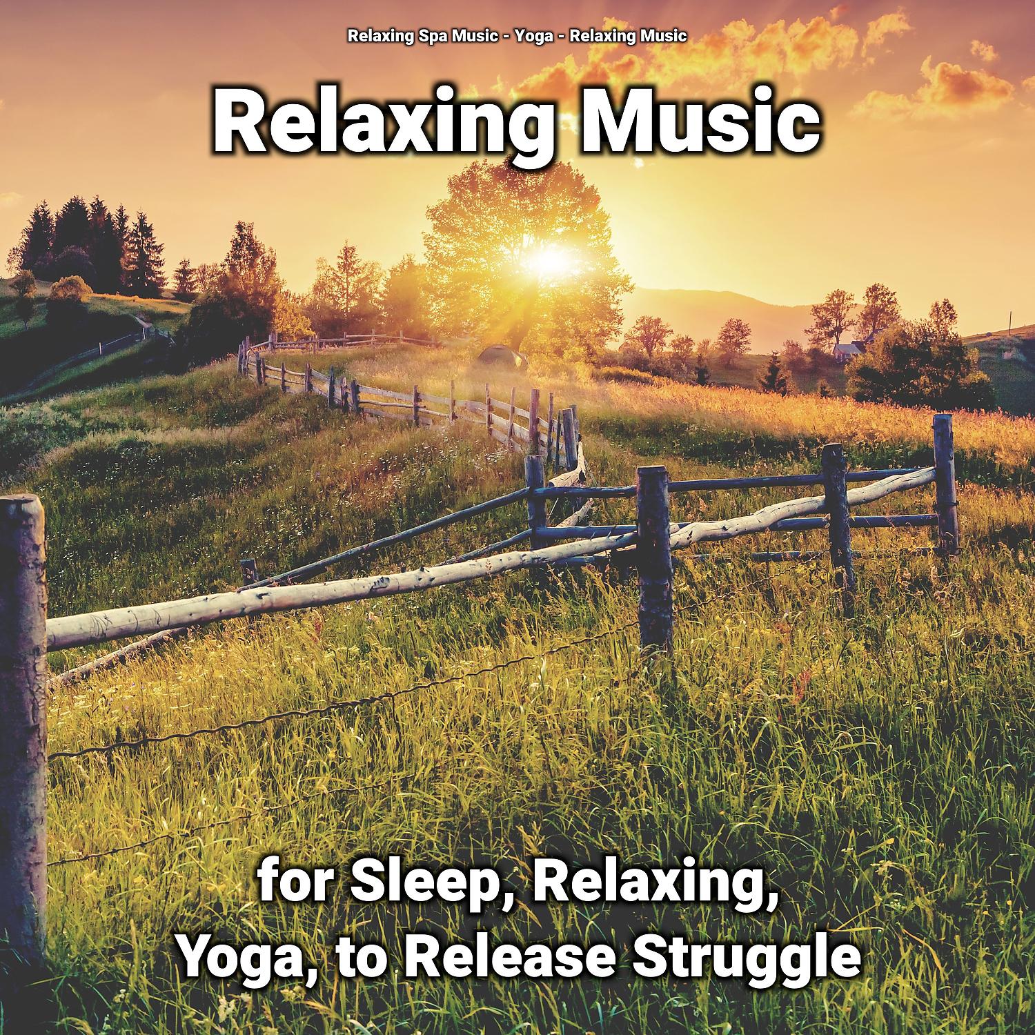 Постер альбома Relaxing Music for Sleep, Relaxing, Yoga, to Release Struggle