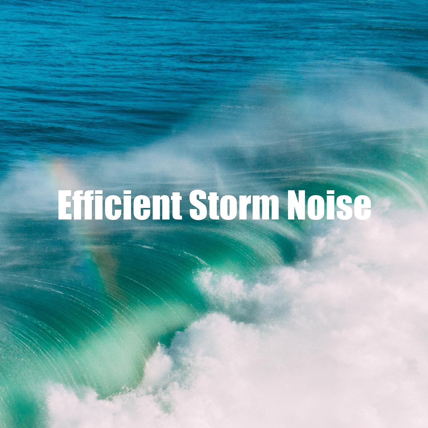 Постер альбома Efficient Storm Noise