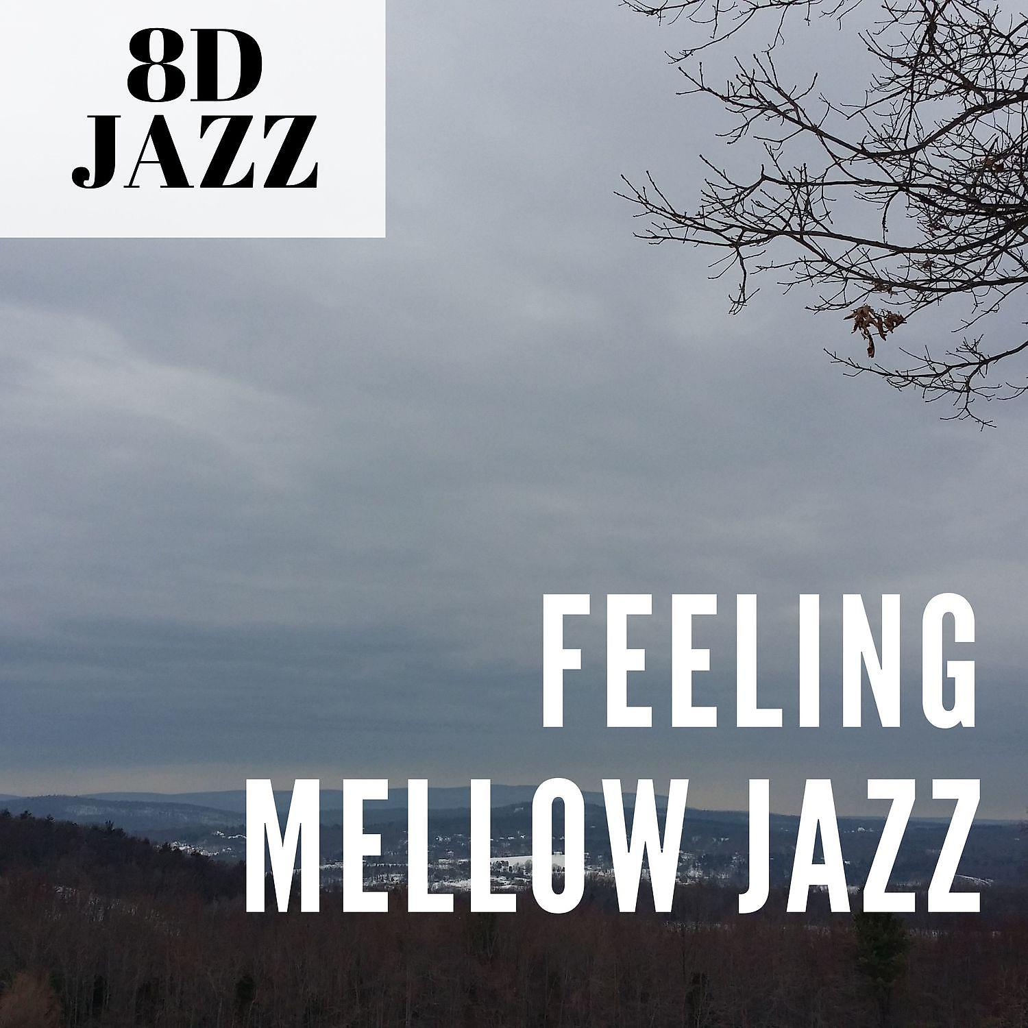 Постер альбома Feeling Mellow Jazz