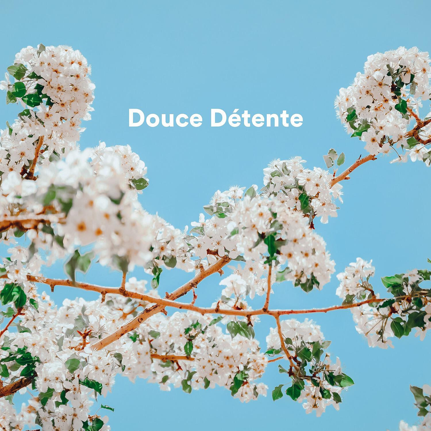 Musique De Relaxation - Veenu