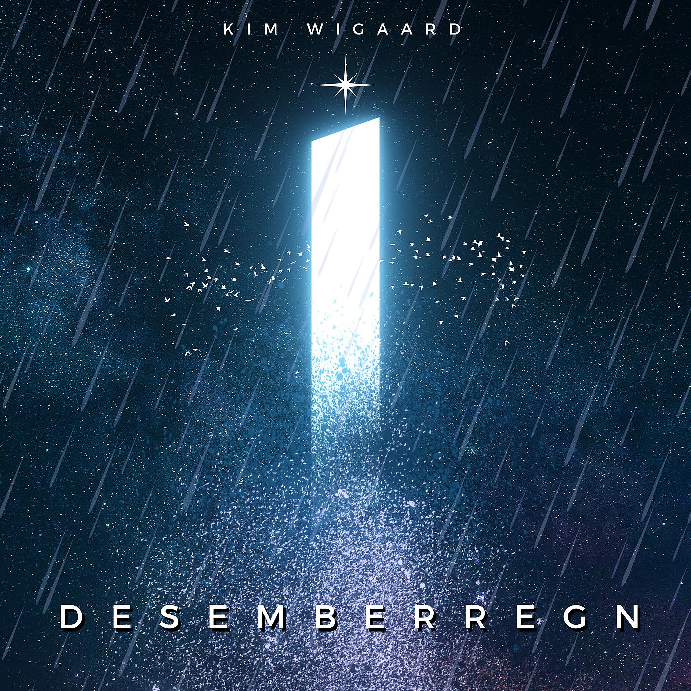 Постер альбома Desemberregn