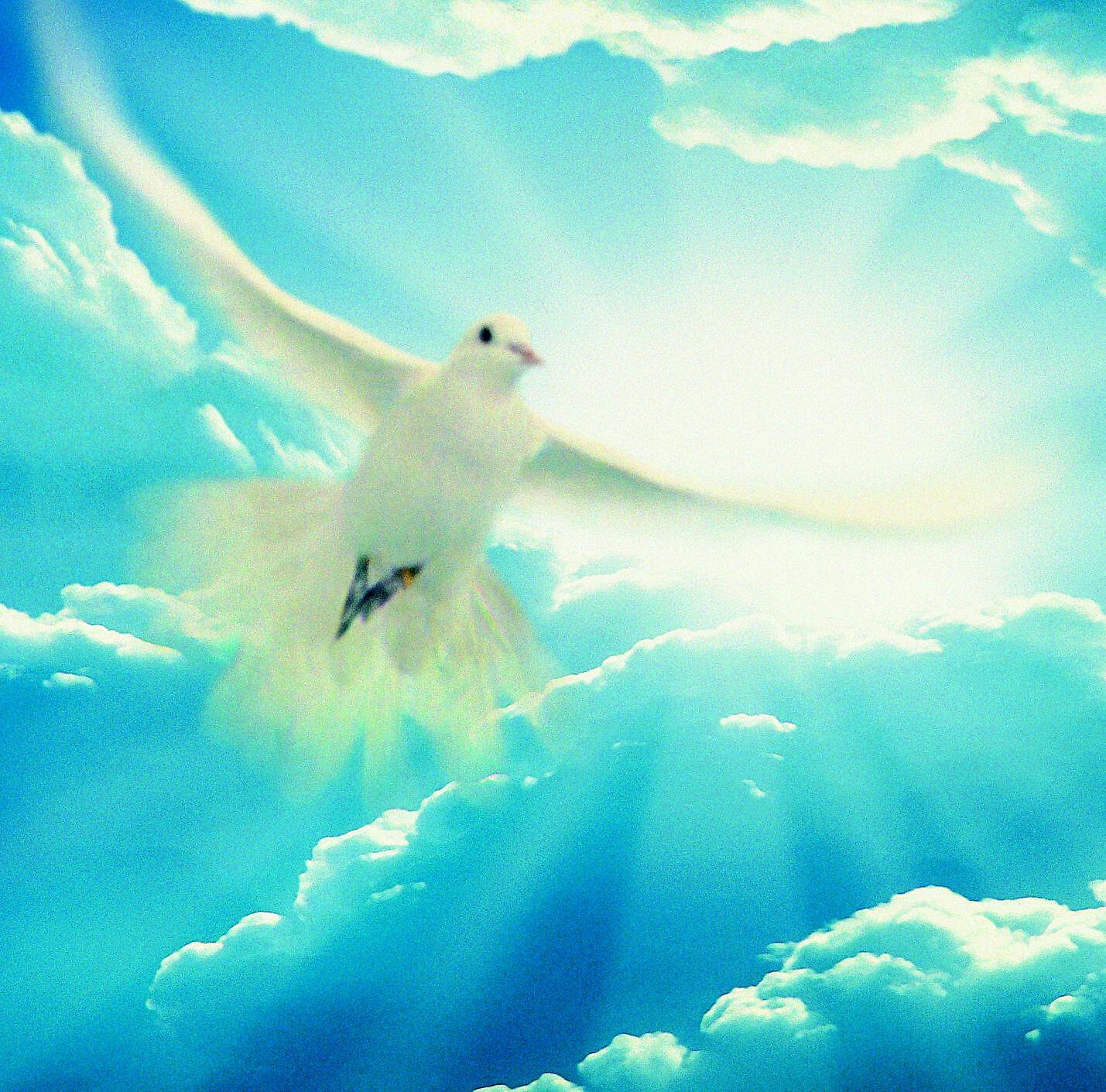 The Chamber Choir Eesti Projekt - Gloria Patri... 24 Hymns for Mixed Choir : II Omnis una