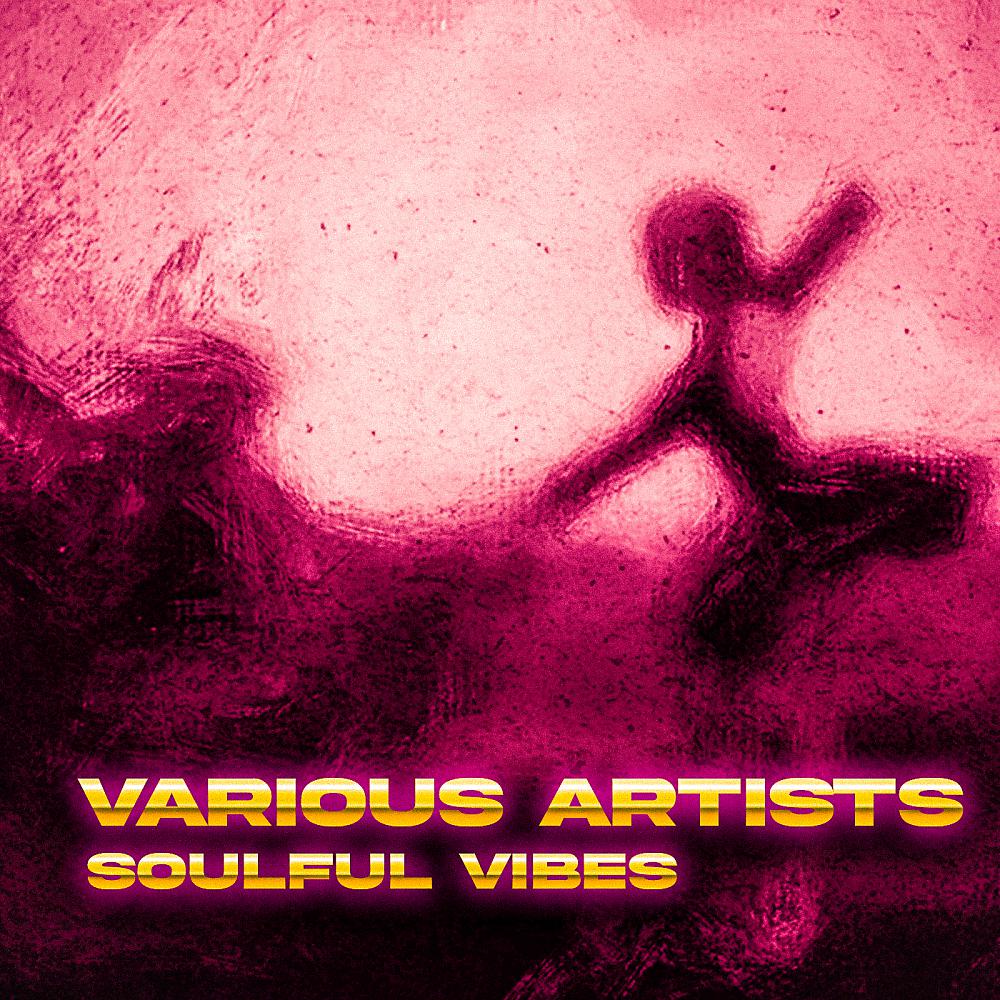 Постер альбома Soulful Vibes