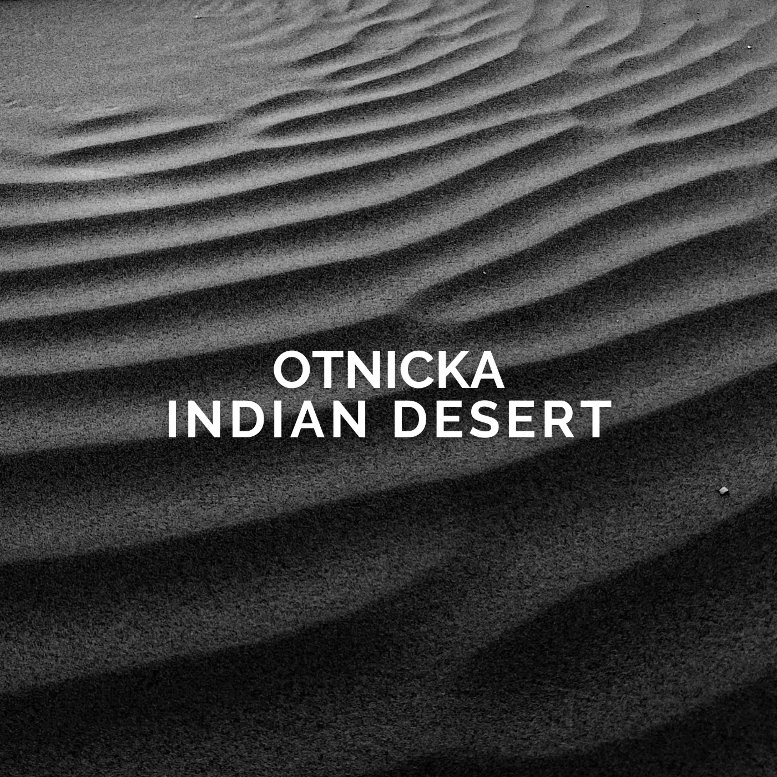Постер альбома Indian Desert