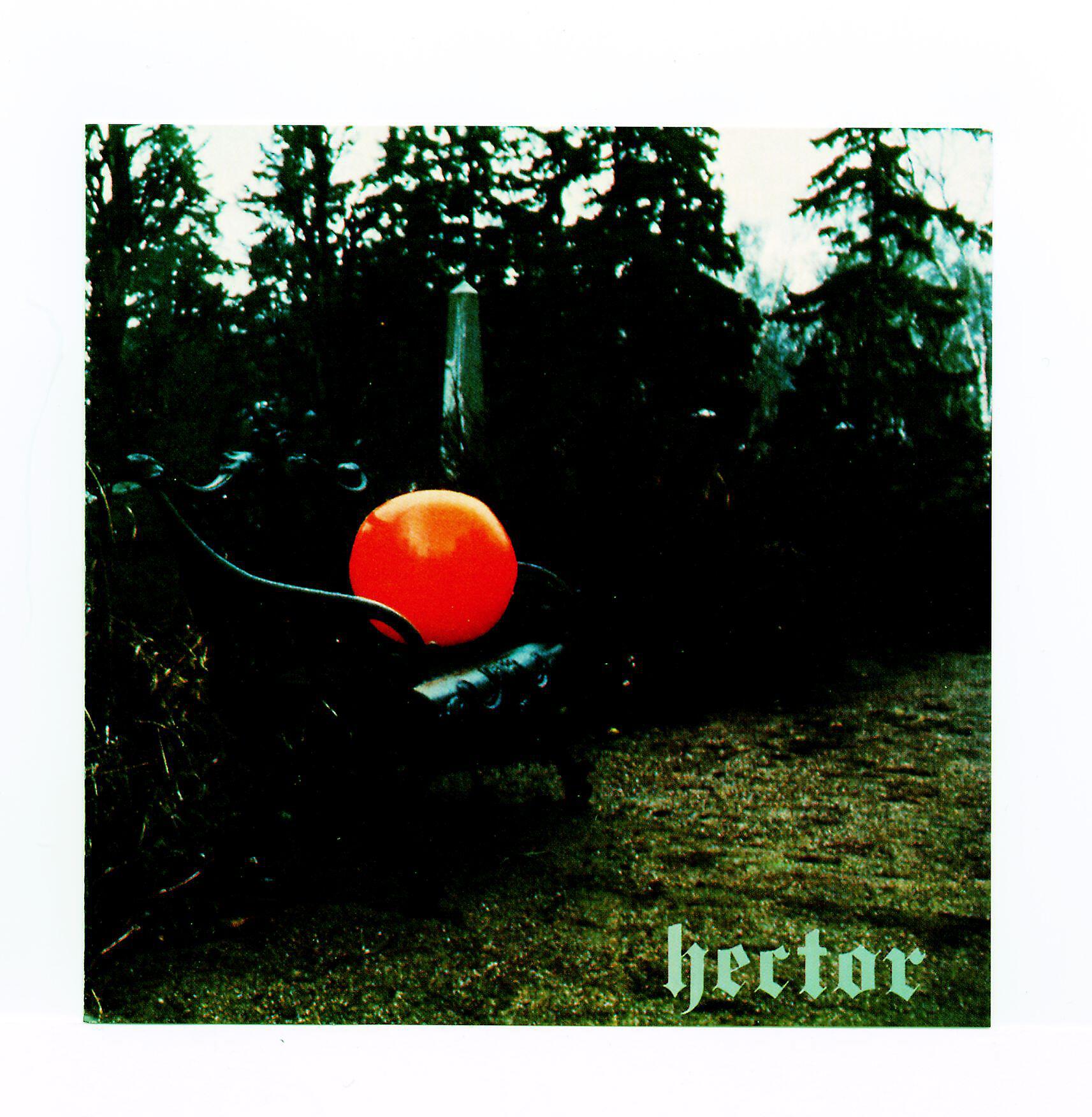 Hector - Lumi teki enkelin eteiseen