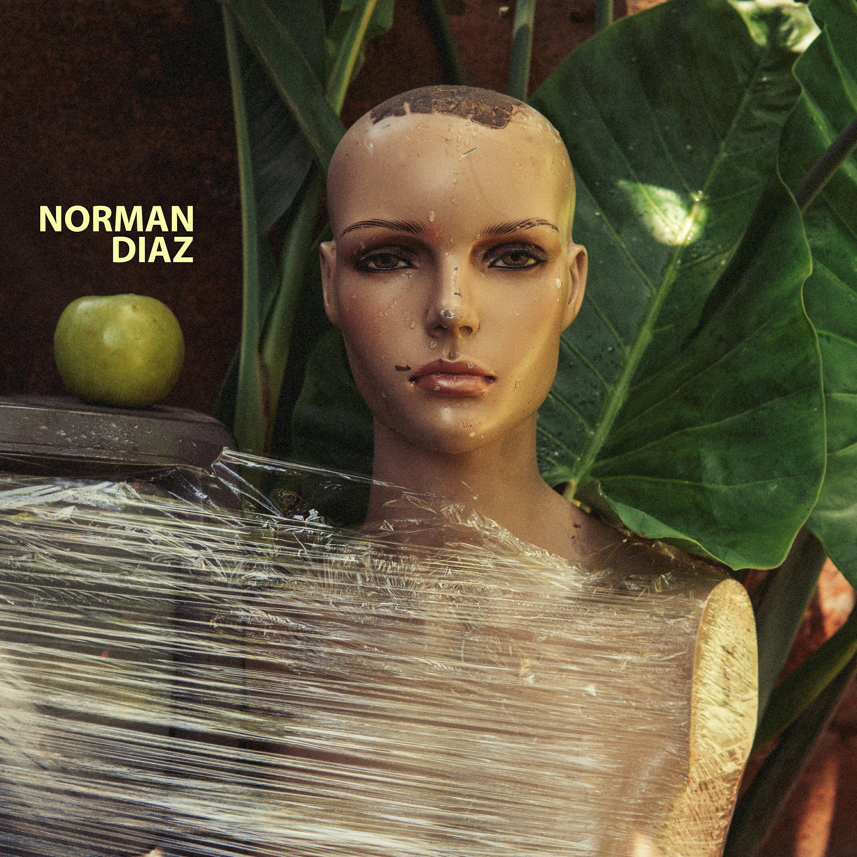 Norman Diaz - Morbo y Diario