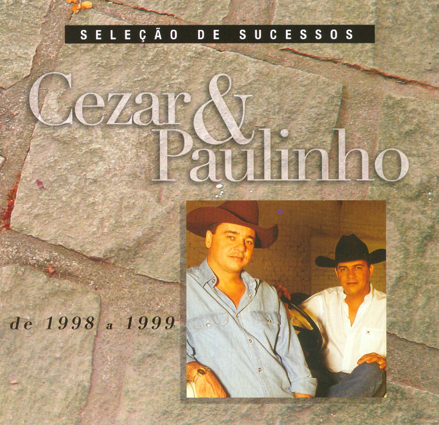 Постер альбома Seleção de Sucessos 1998 / 1999