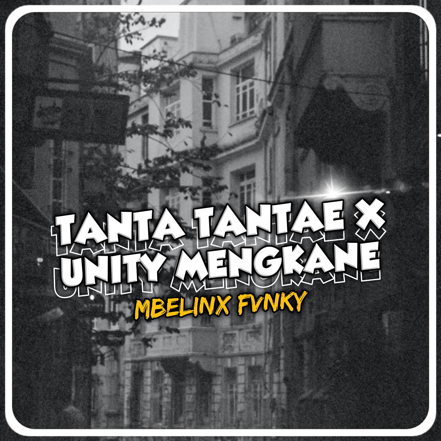 Постер альбома TANTA TANTAE X UNITY MENGKANE