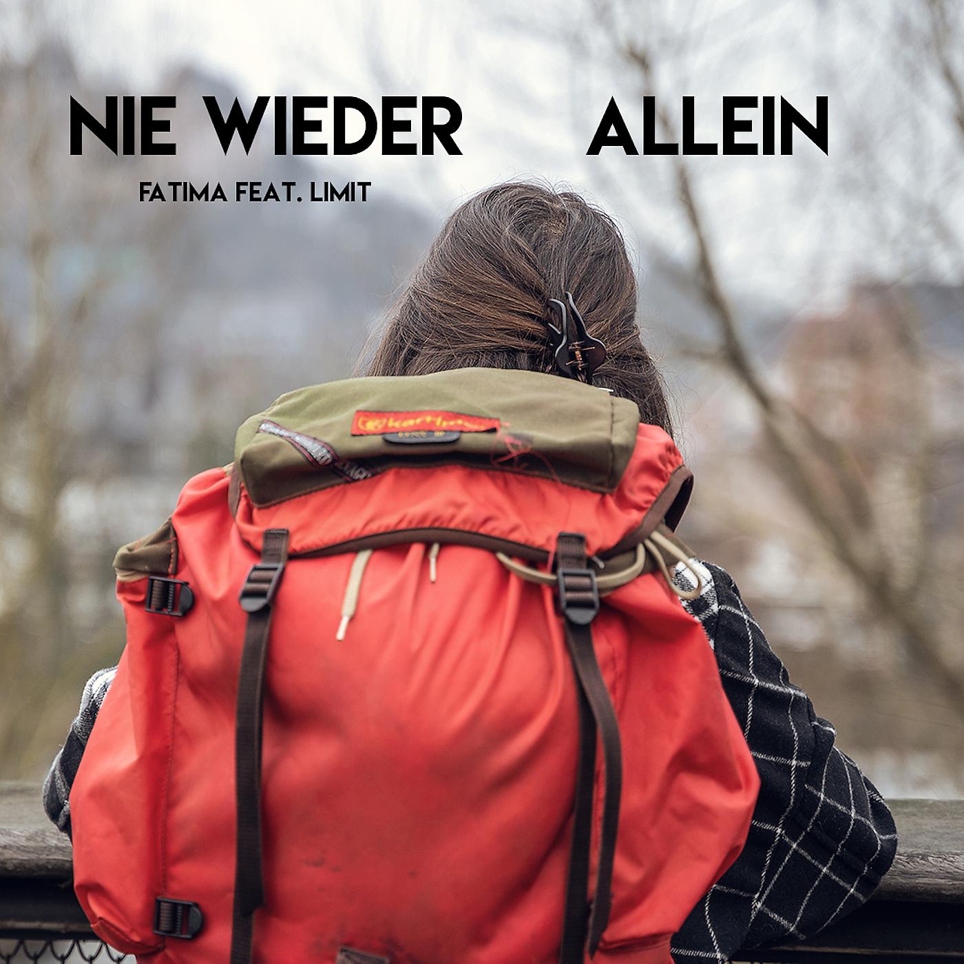 Постер альбома Nie Wieder Allein
