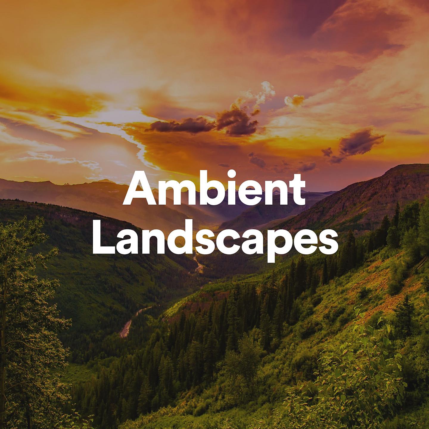 Постер альбома Ambient Landscapes