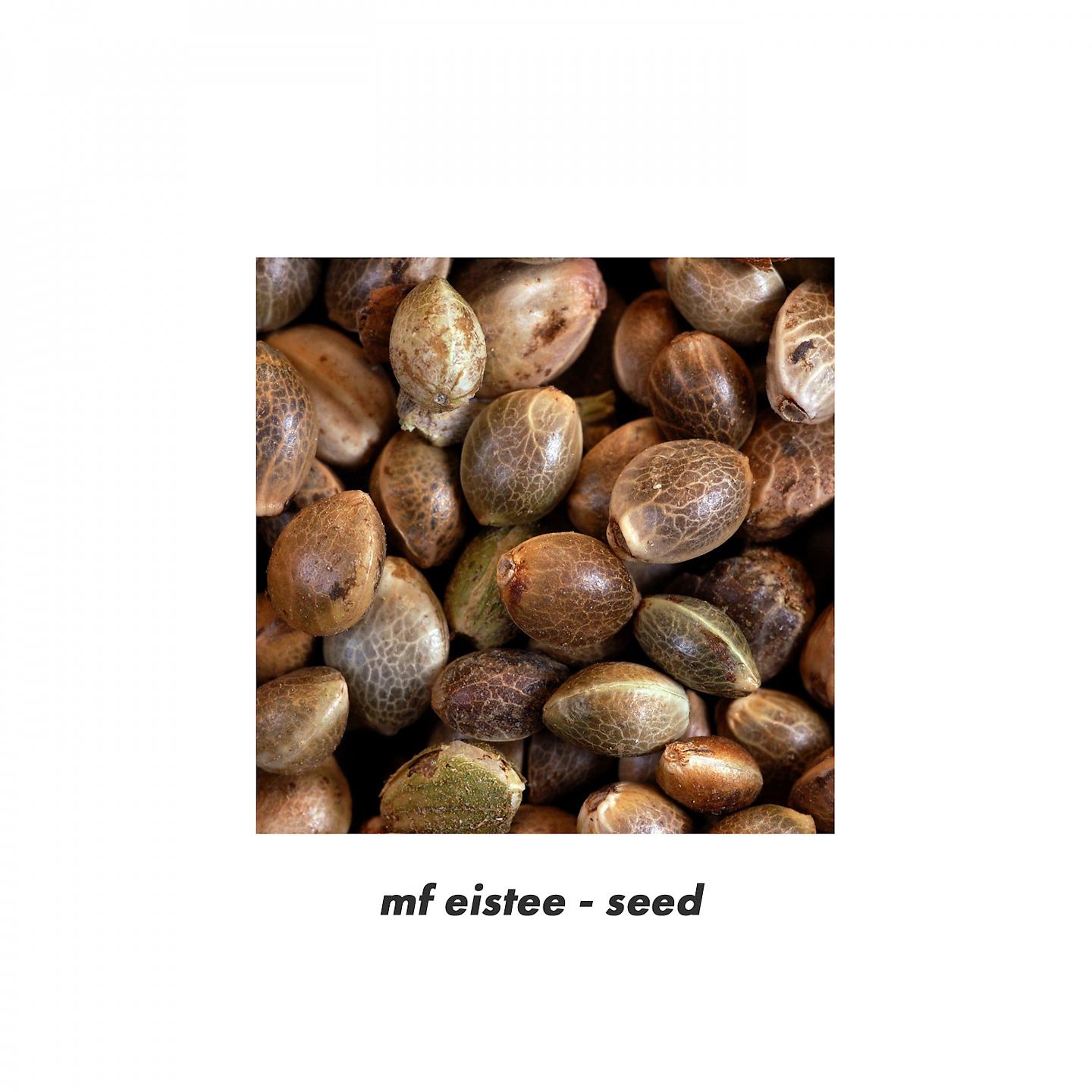 Постер альбома seed
