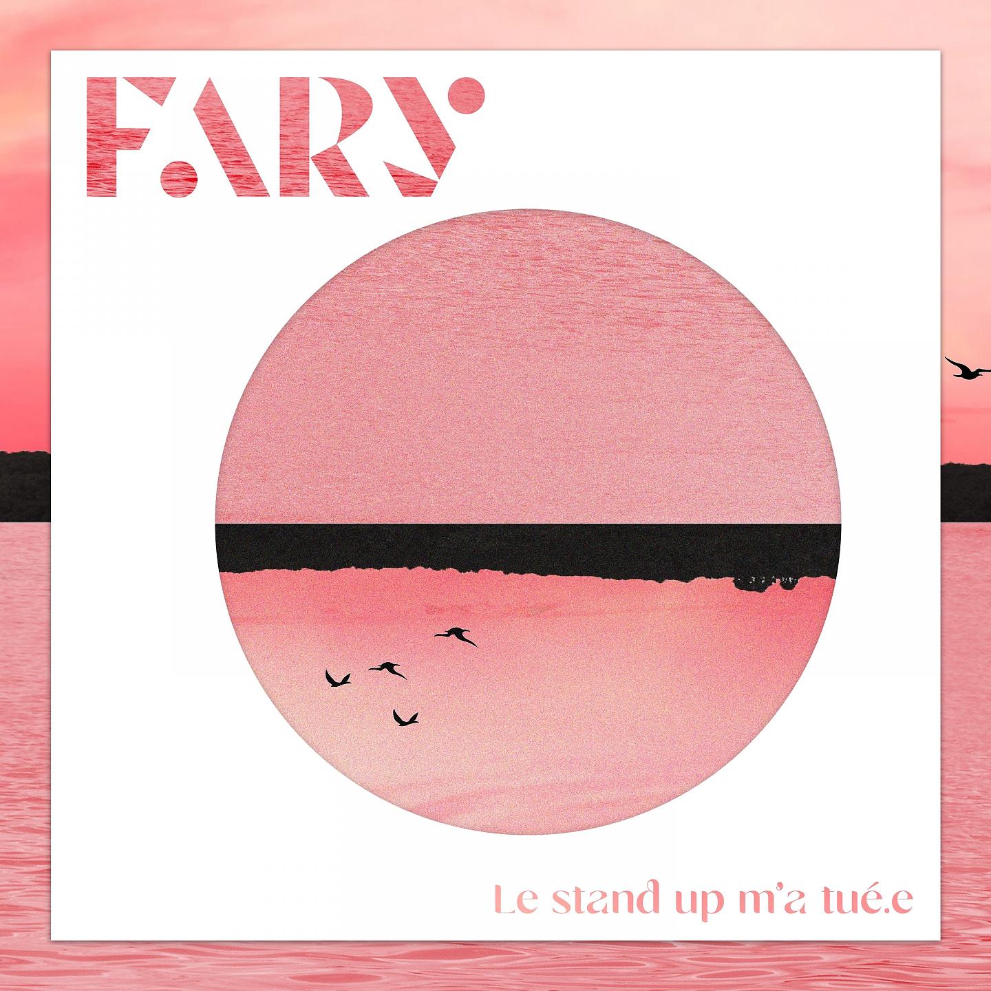 Постер альбома Le stand up m'a tué.e