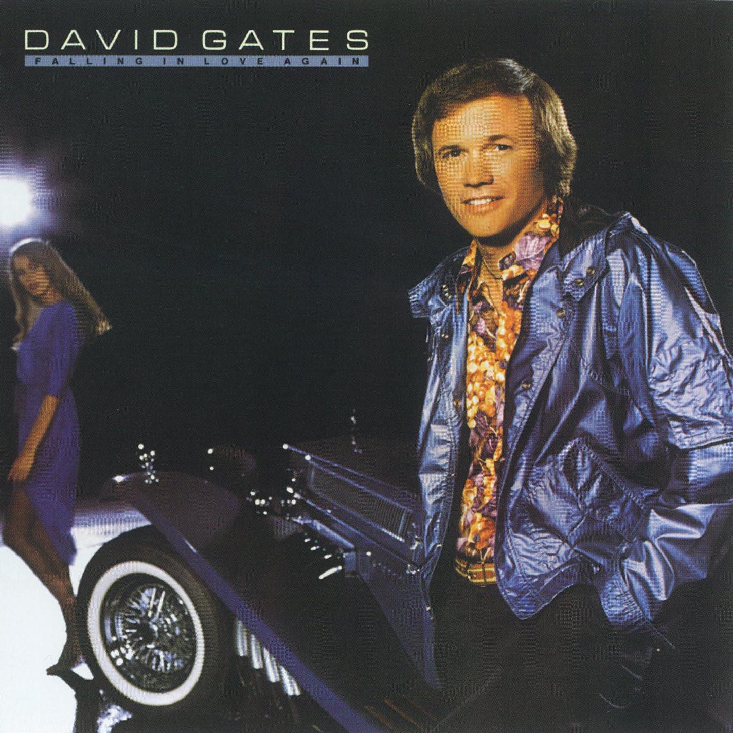 David Gates - Falling in Love Again