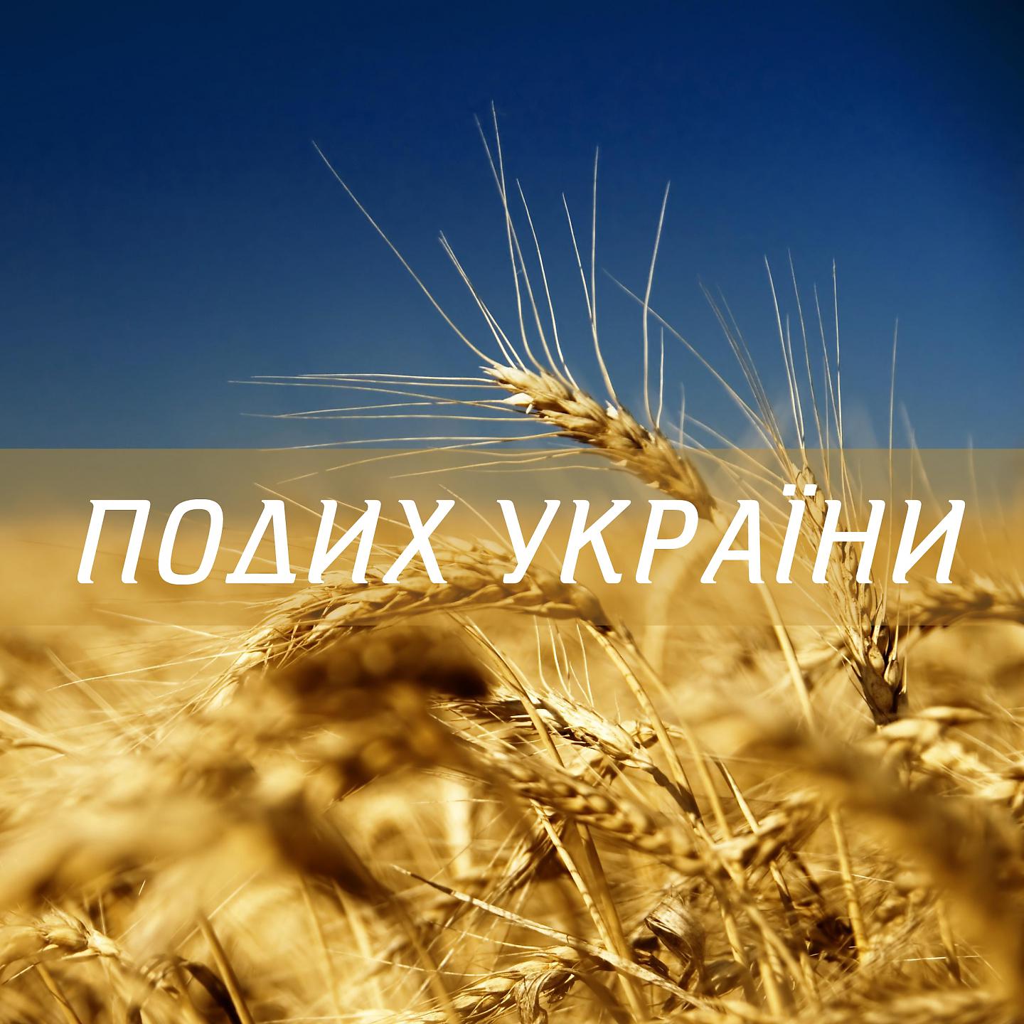 Sunguns - Портрет