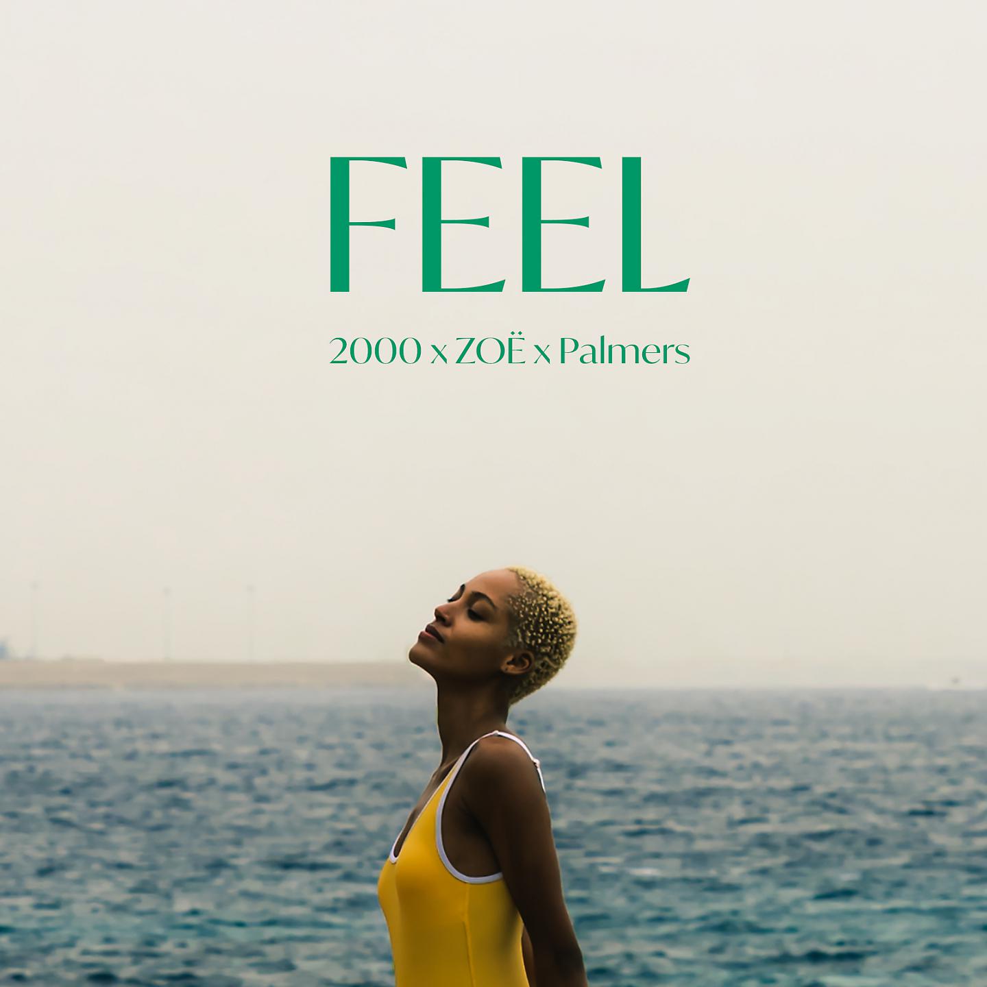 Постер альбома FEEL
