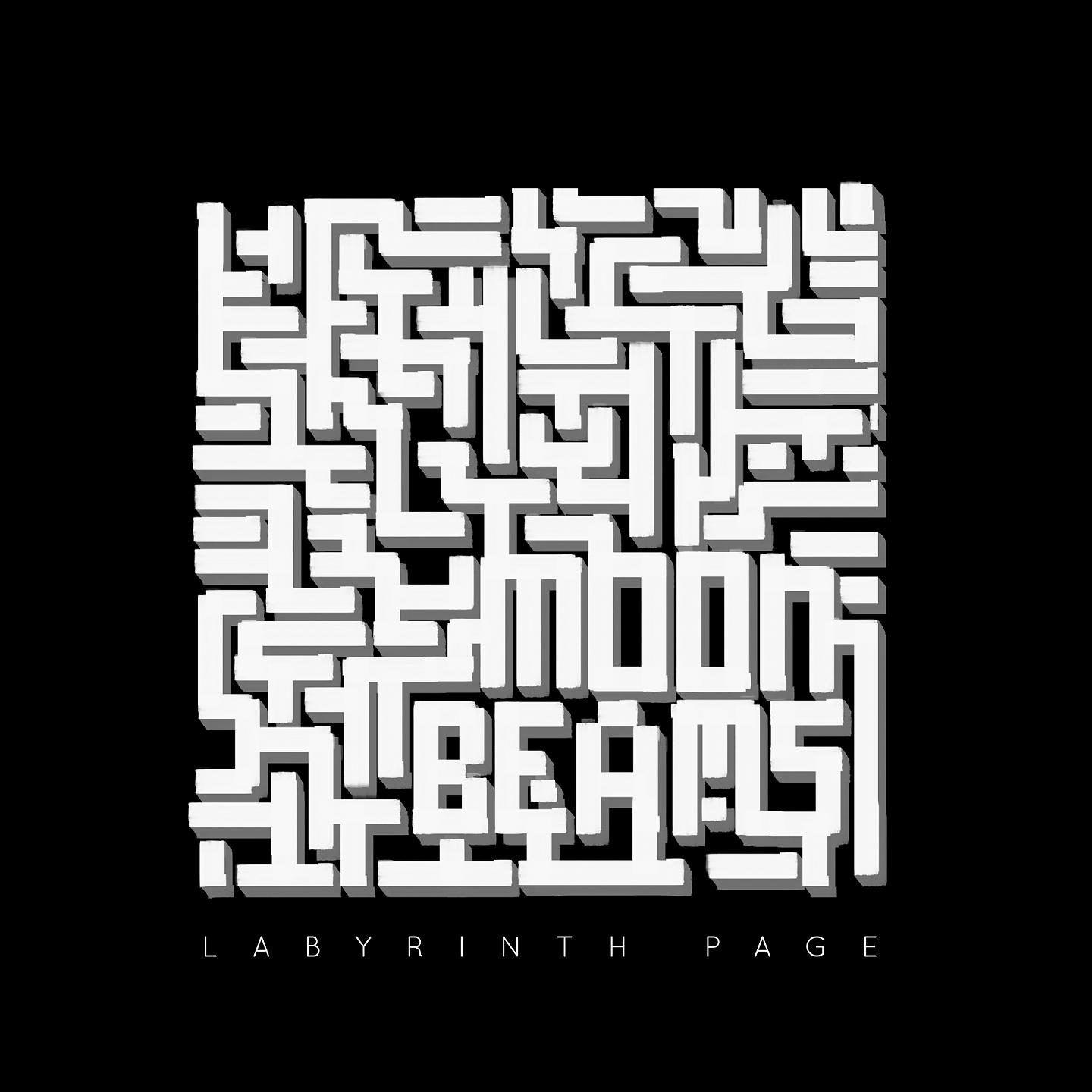Постер альбома Labyrinth Page