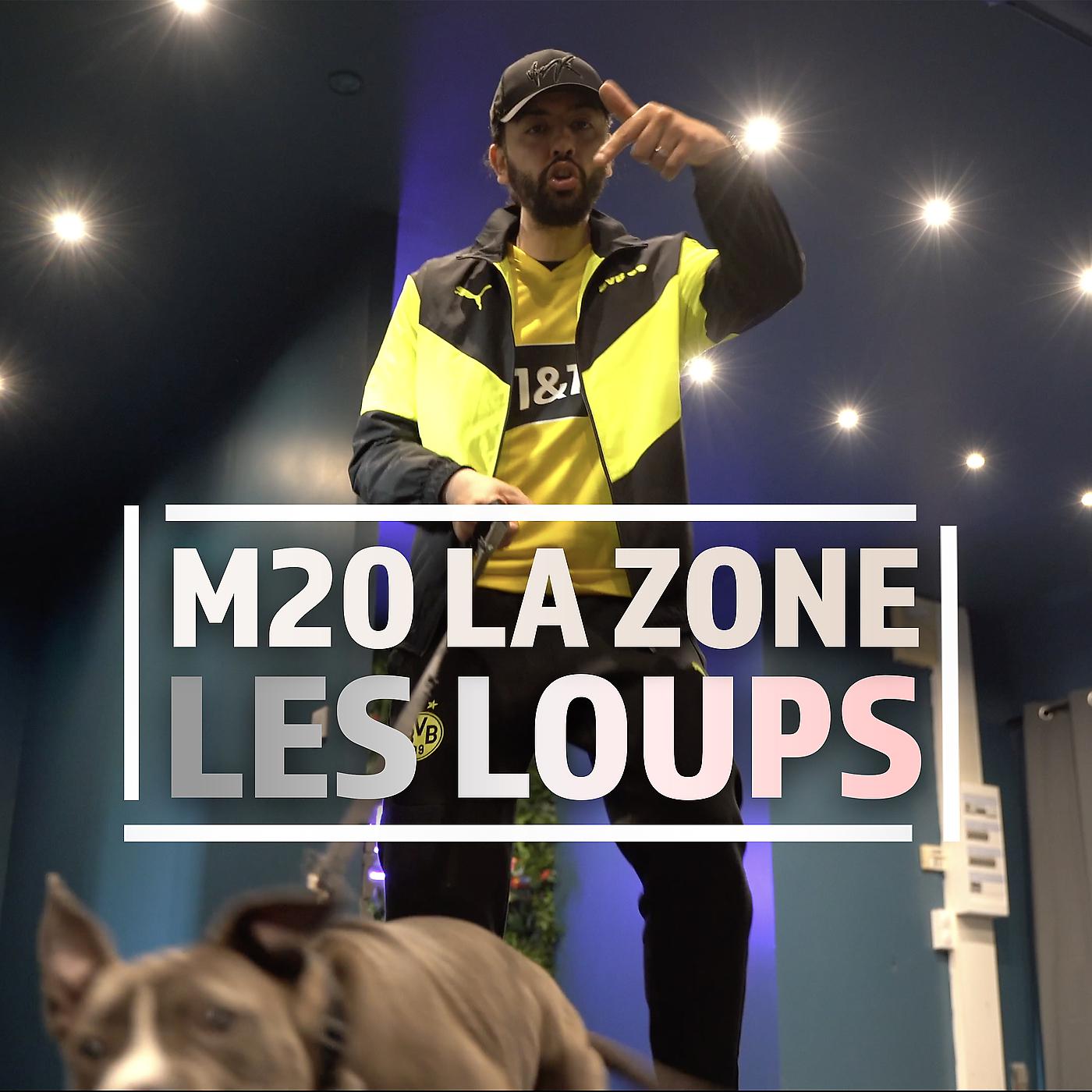 Постер альбома Les loups