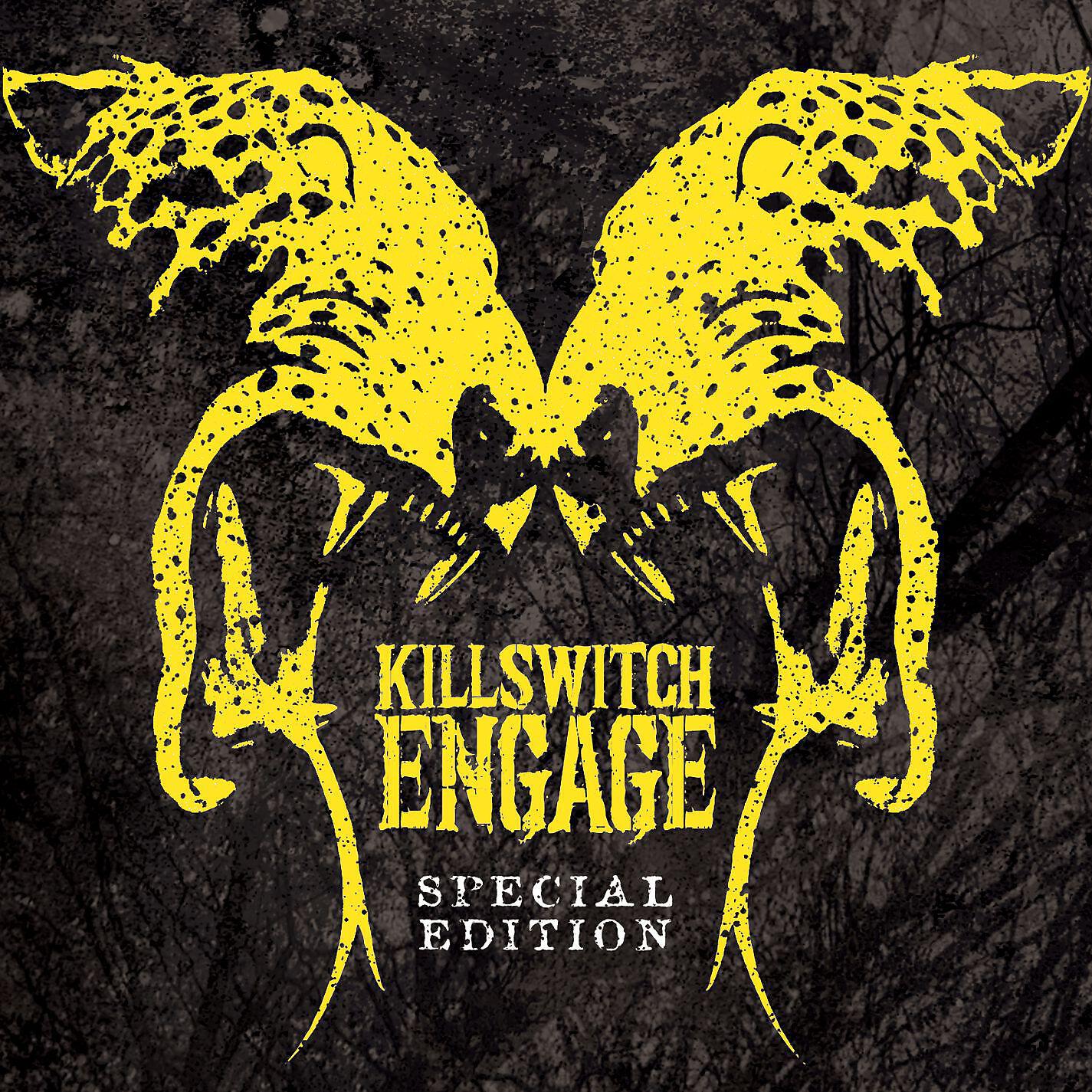 Killswitch Engage - My Curse (Live)