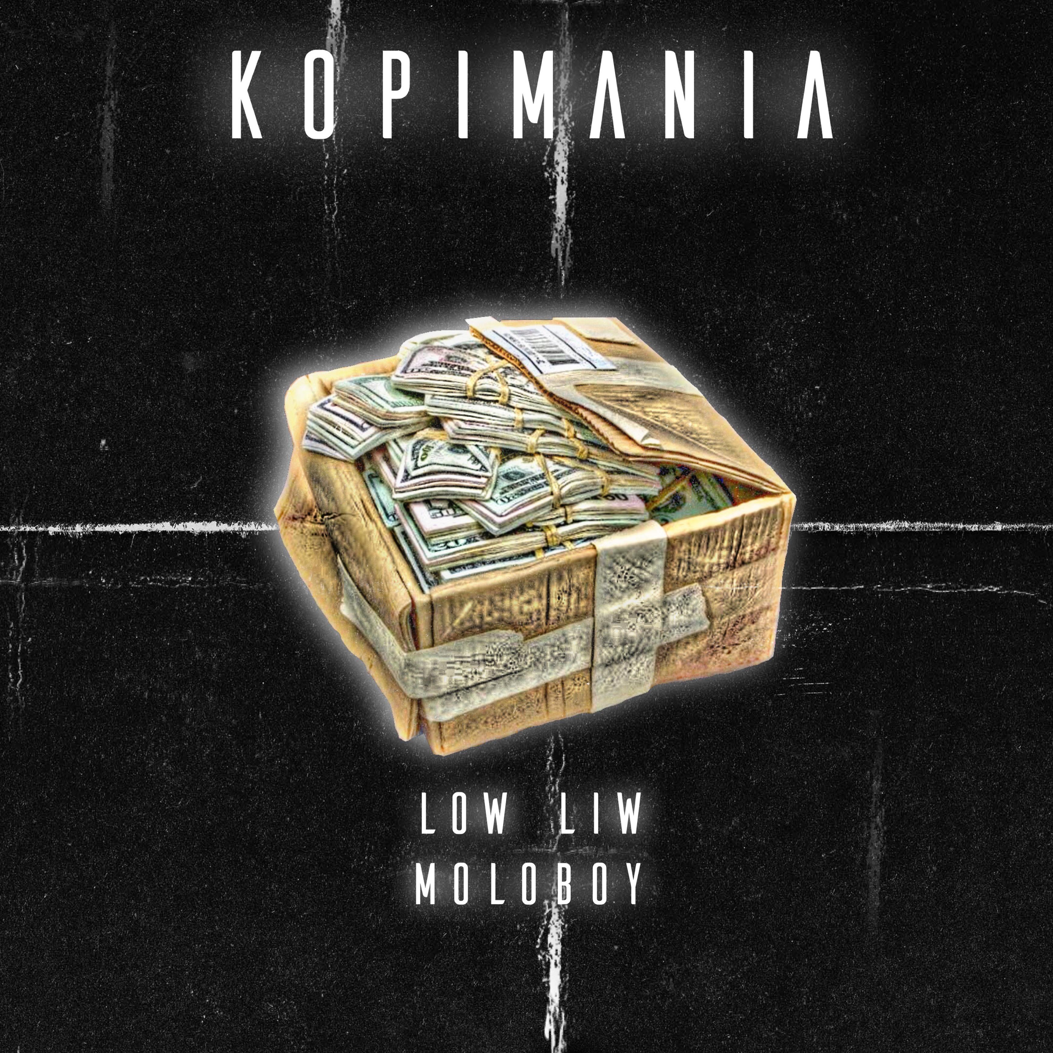 Постер альбома Kopimania