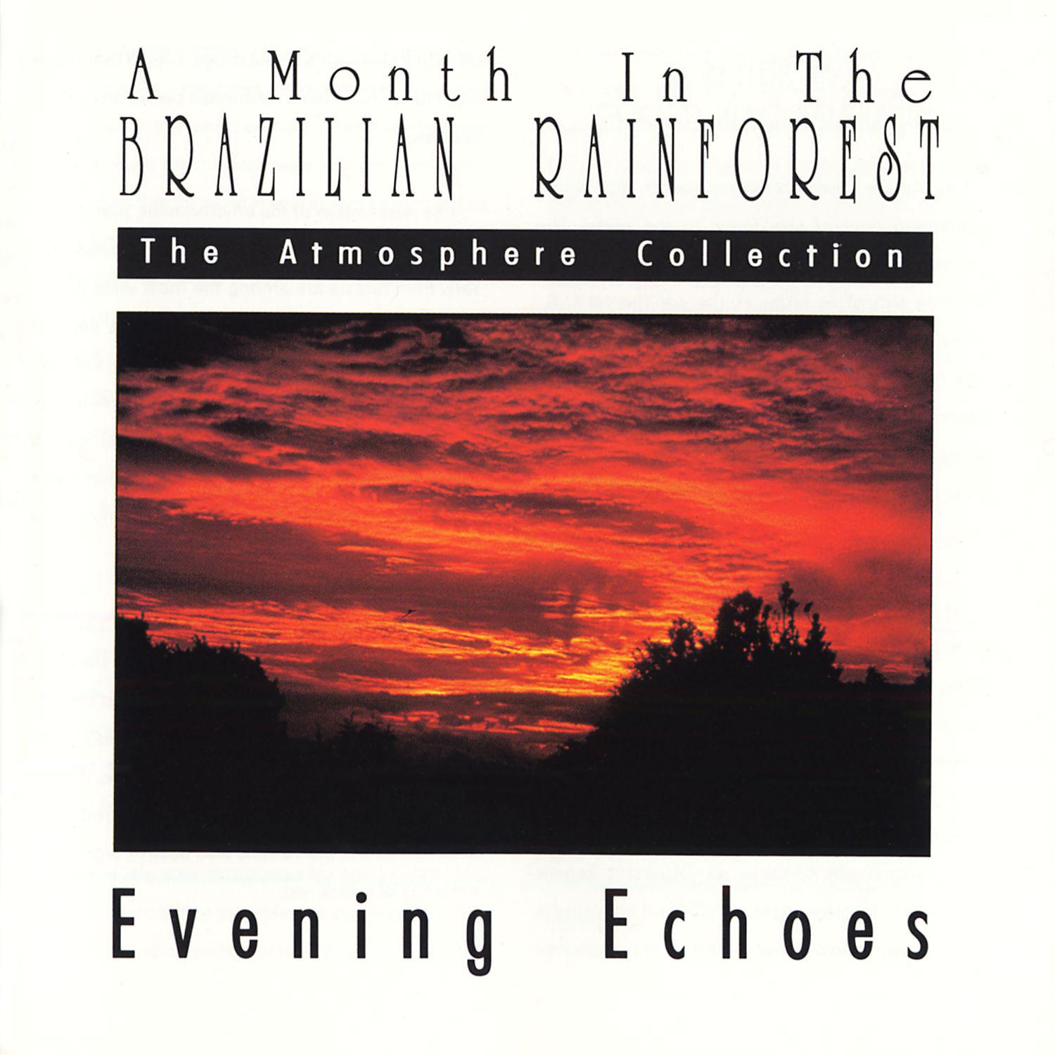 Постер альбома A Month In The Brazilian Rainforest: Evening Echoes