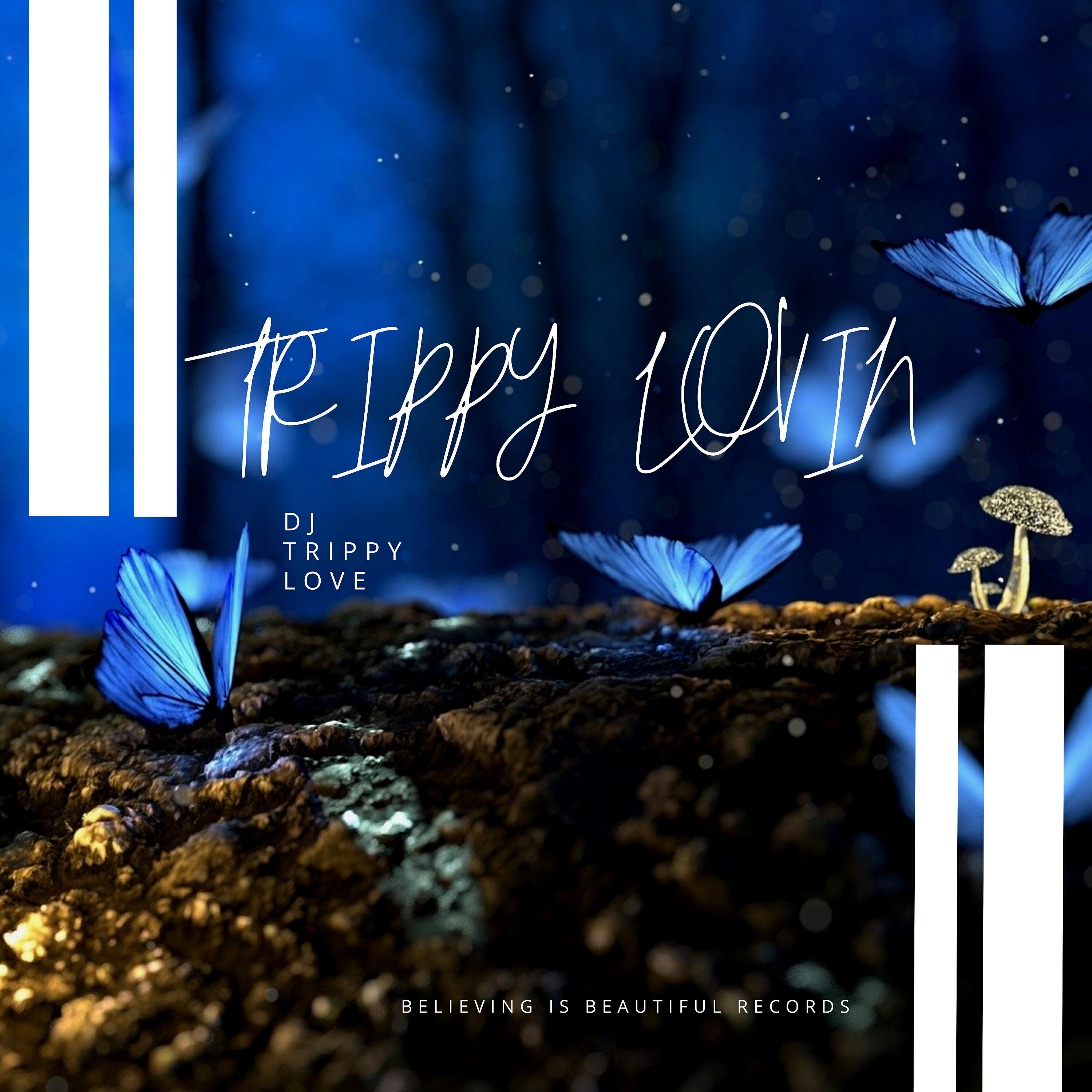 DJ Trippy Love - Inspiring Season
