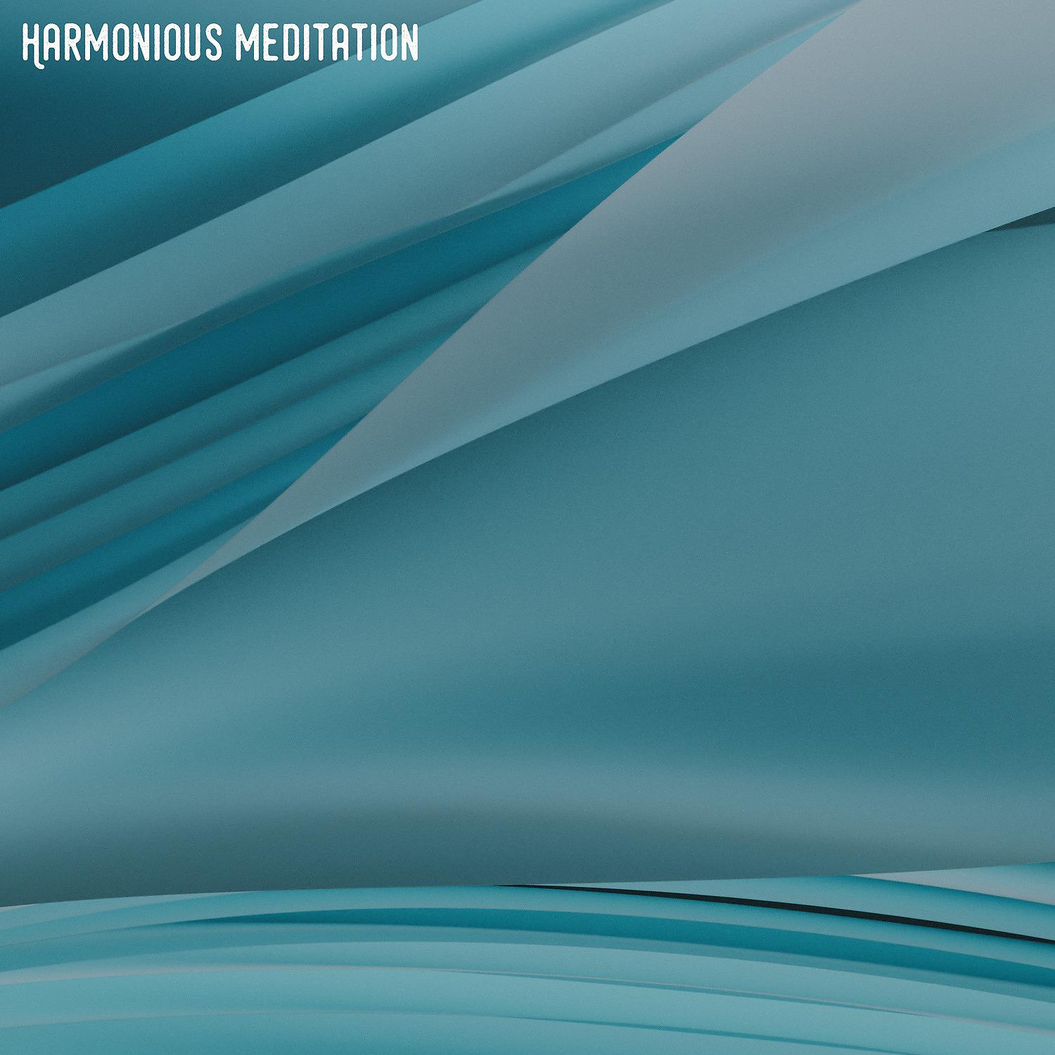 Постер альбома Harmonious Meditation
