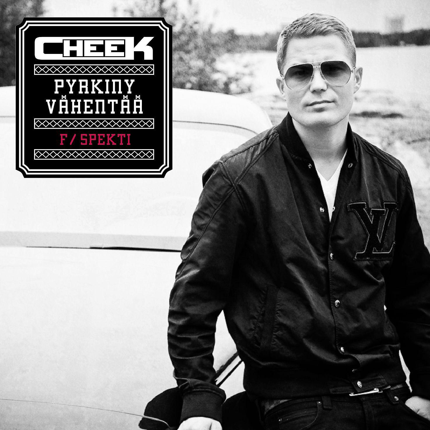 Постер альбома Pyrkiny vähentää (feat. Spekti)