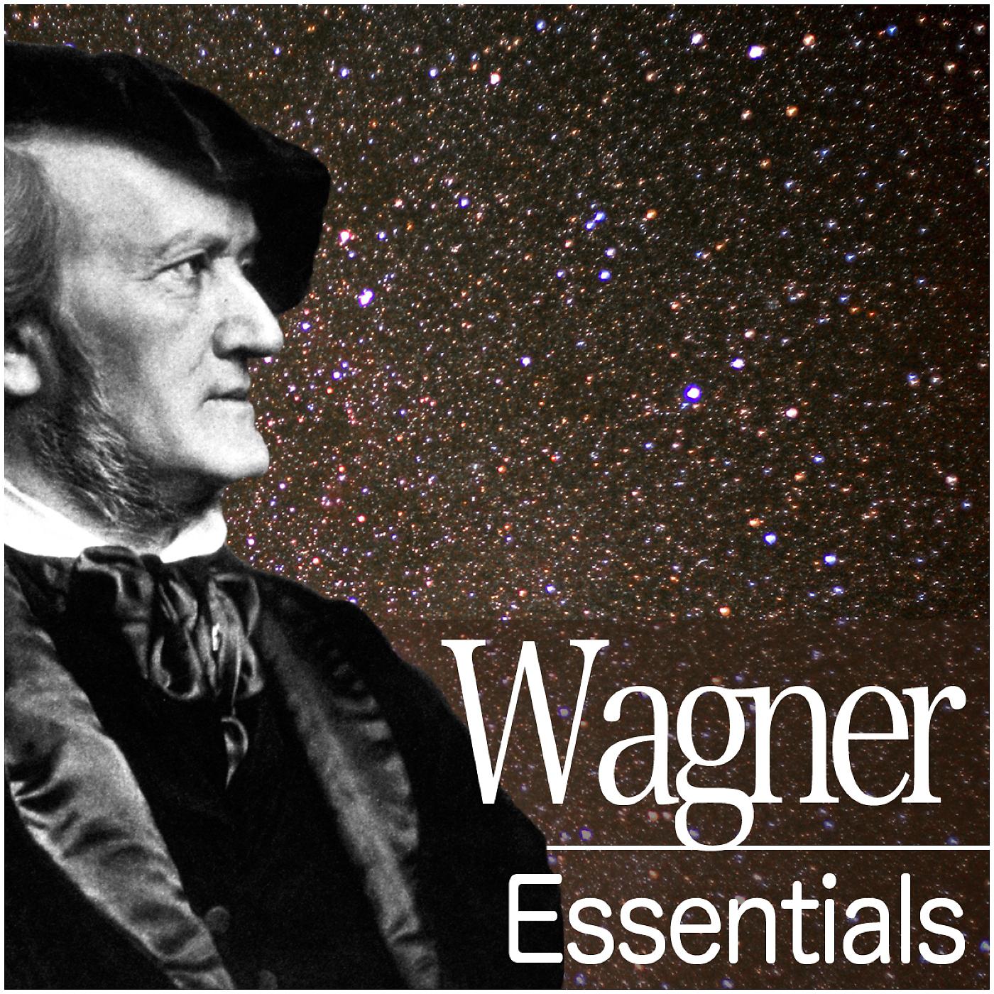 Постер альбома Wagner Essentials