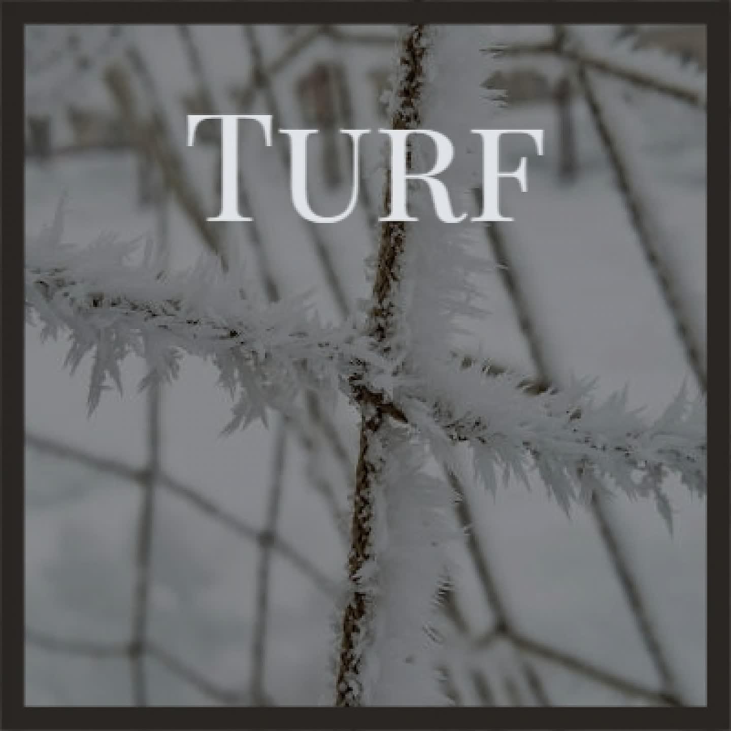 Постер альбома Turf