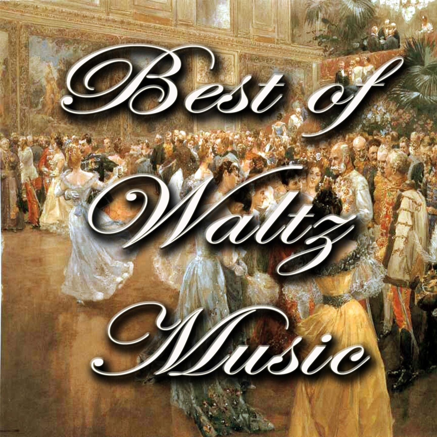 Постер альбома Best of Waltz Music