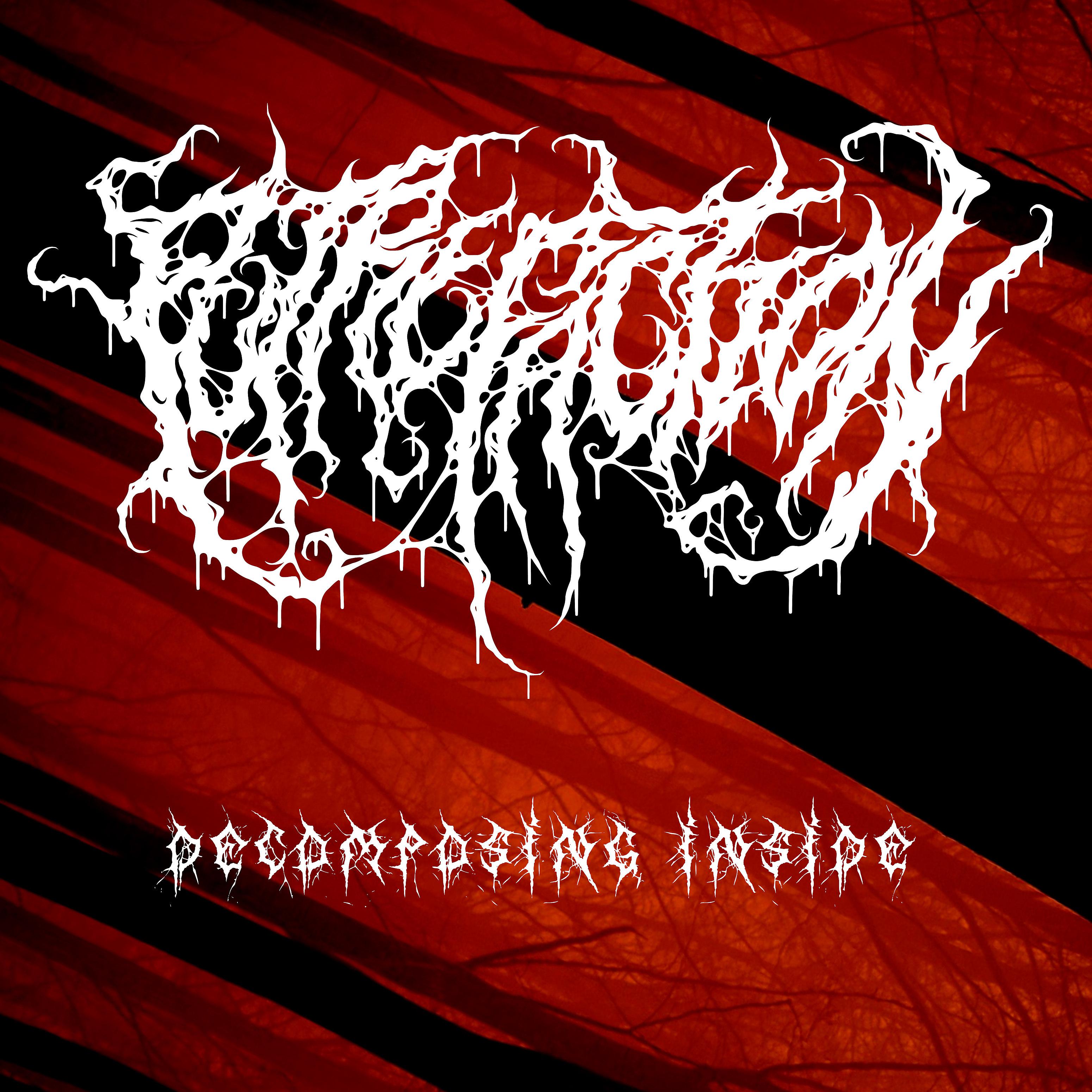 Постер альбома Decomposing Inside