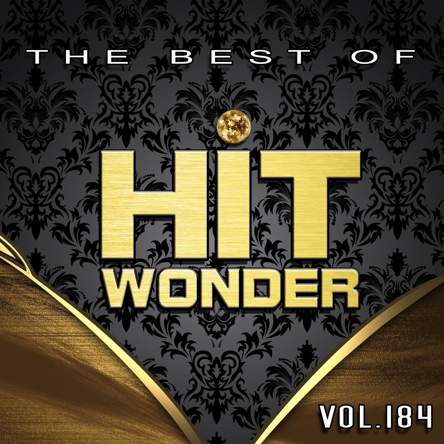 Постер альбома Hit Wonder: The Best of, Vol. 184
