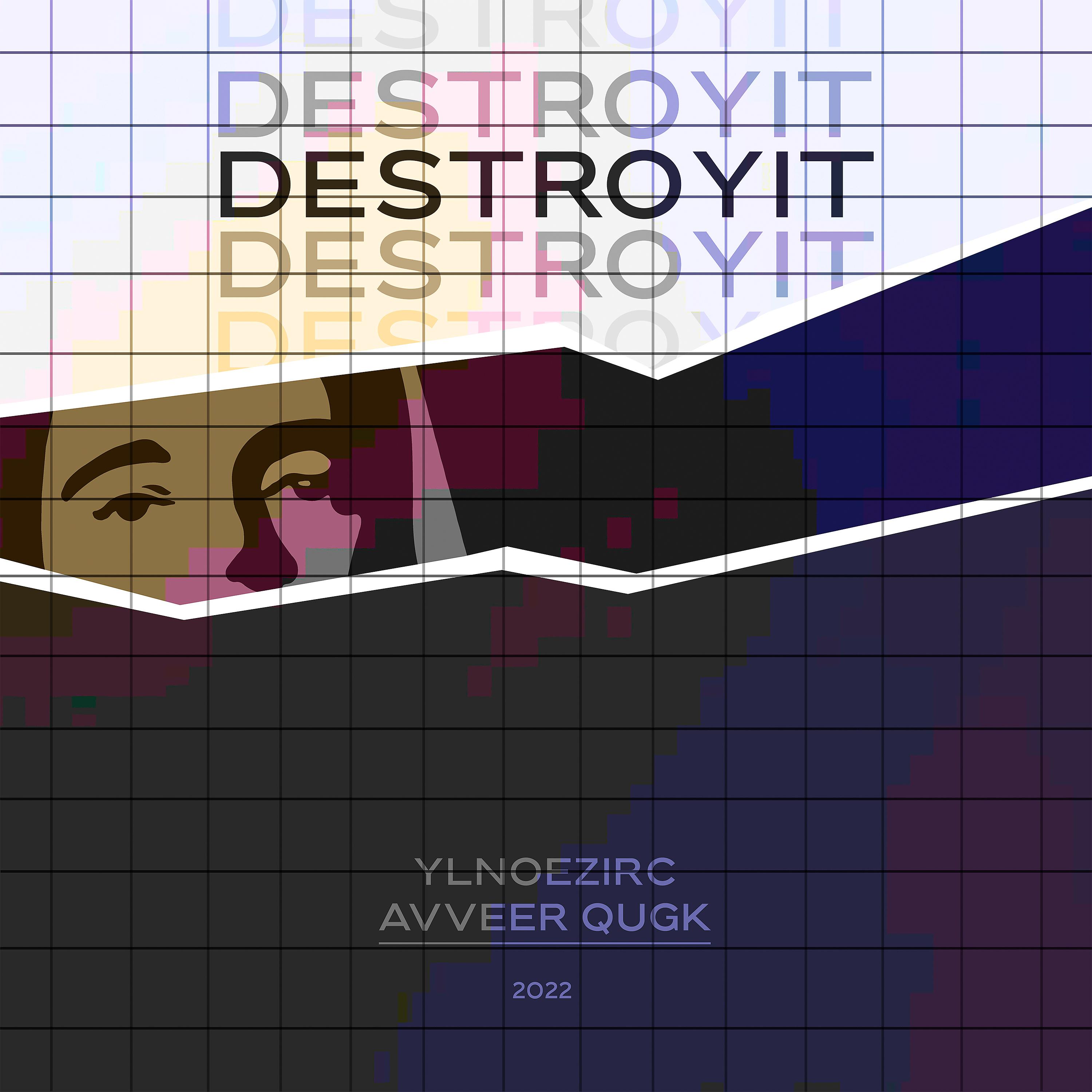 Постер альбома Destroyit (feat. АVVEER, ylnoezirc)