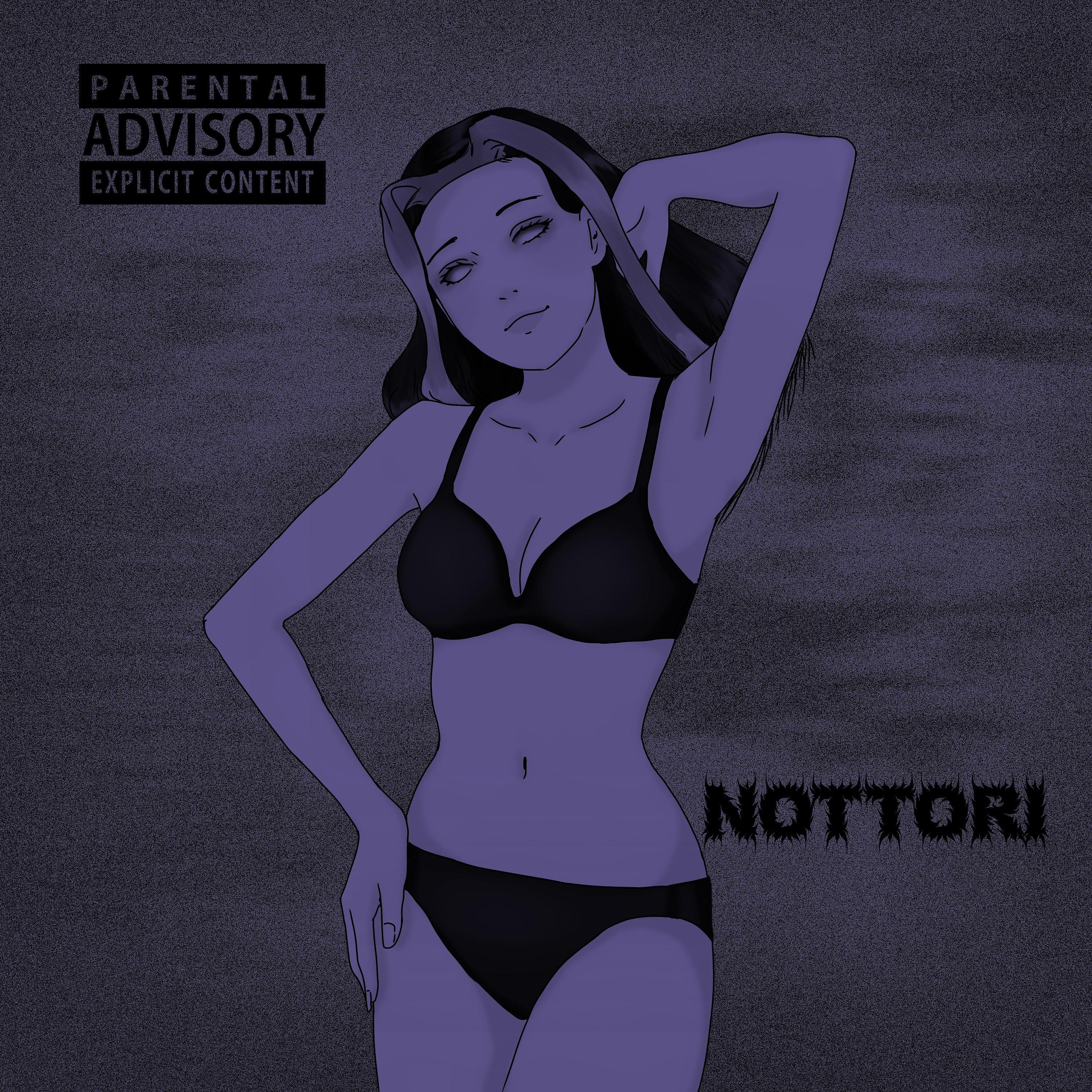 Постер альбома Nottori
