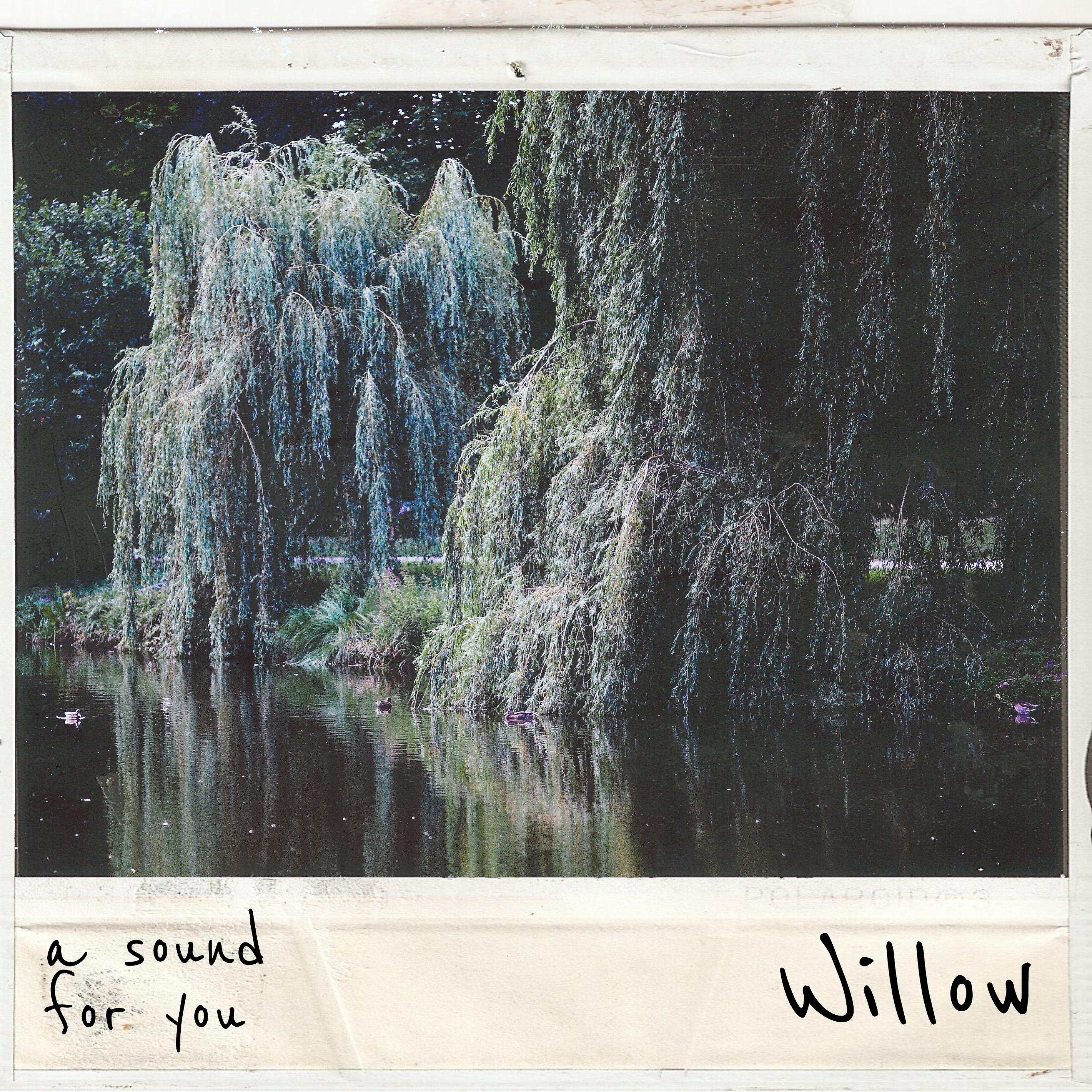 Постер альбома Willow