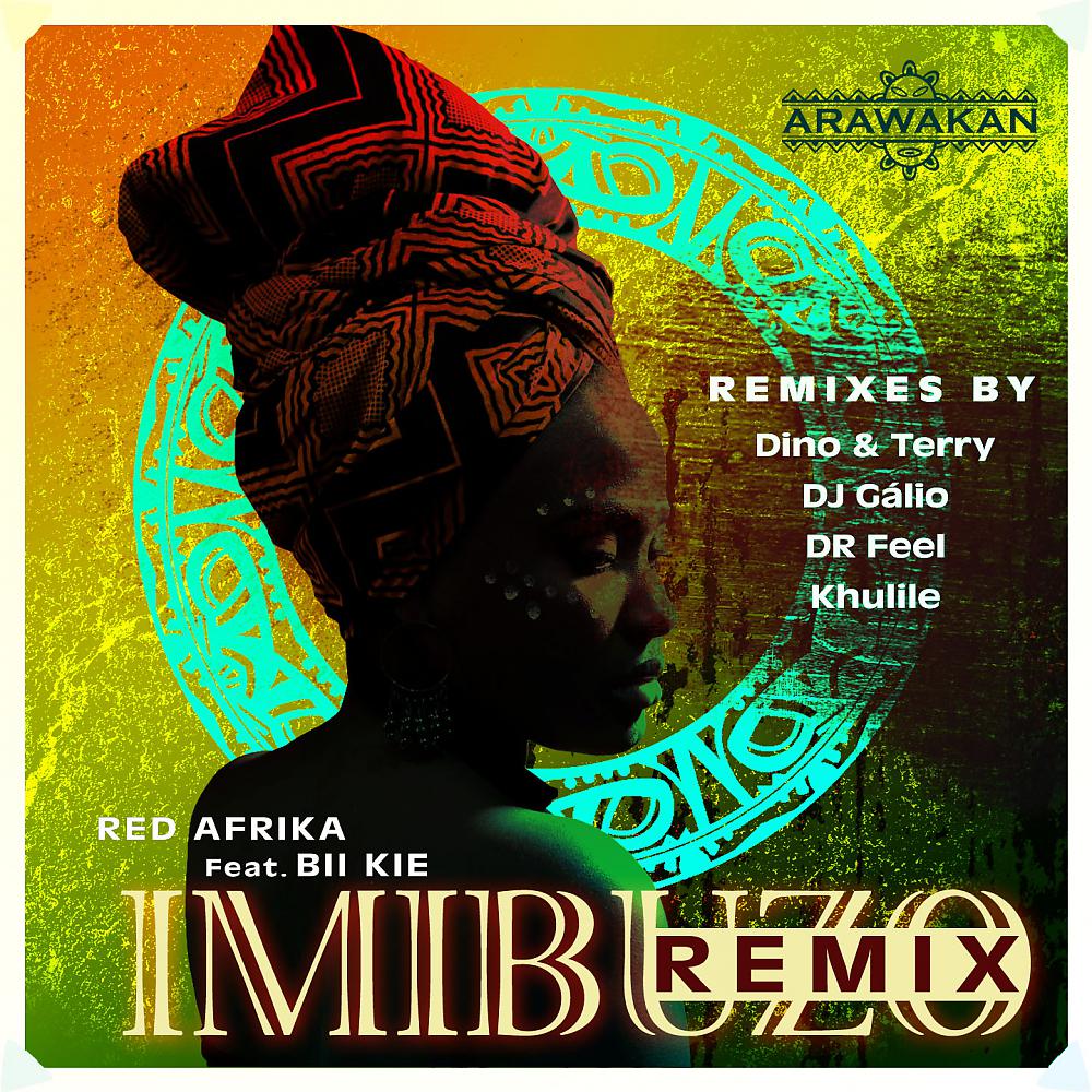 Постер альбома Imibuzo - Remix