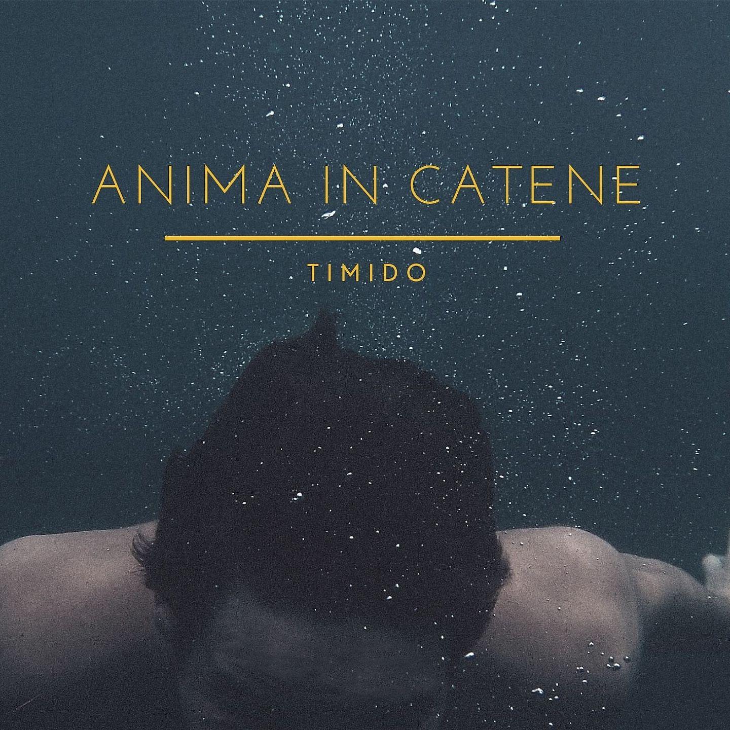 Постер альбома Anima in catene