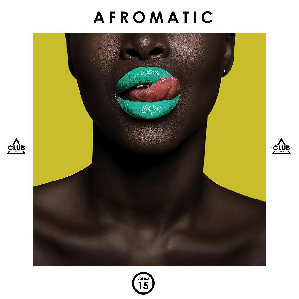 Постер альбома Afromatic, Vol. 15