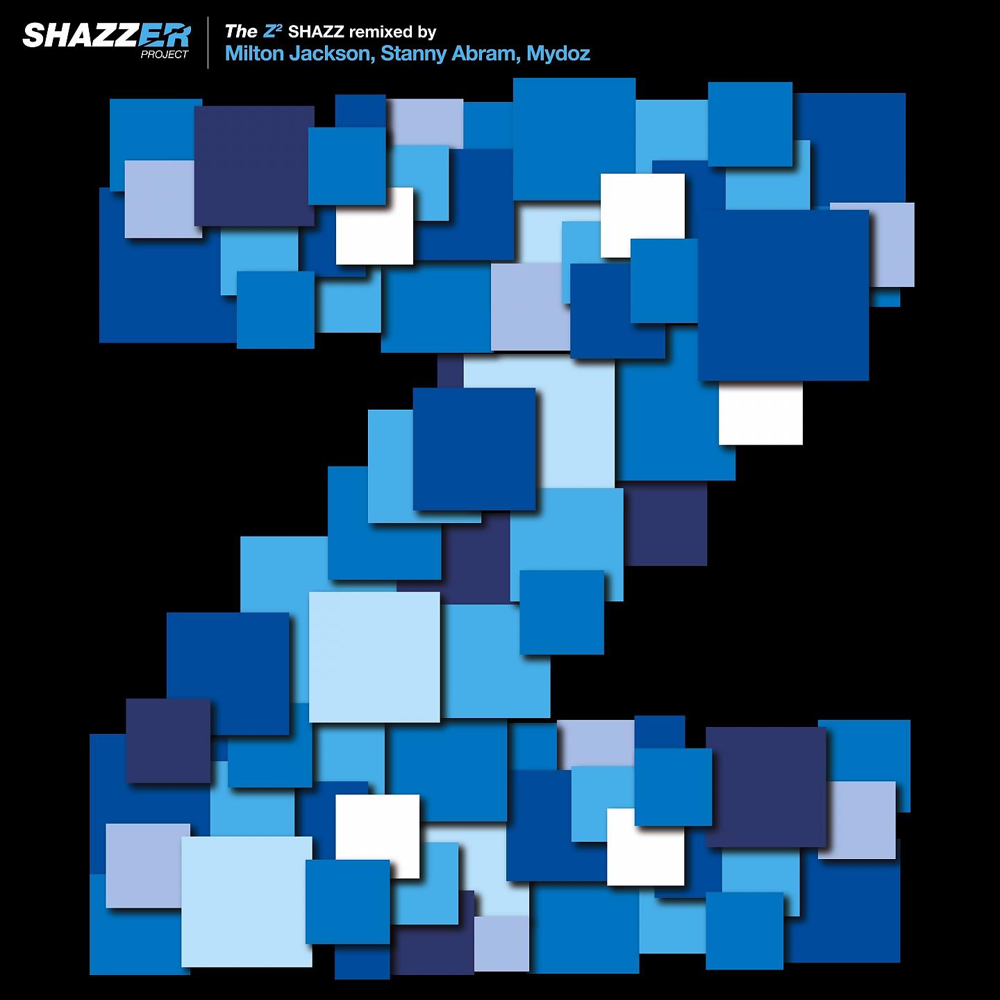 Постер альбома Shazzer Project