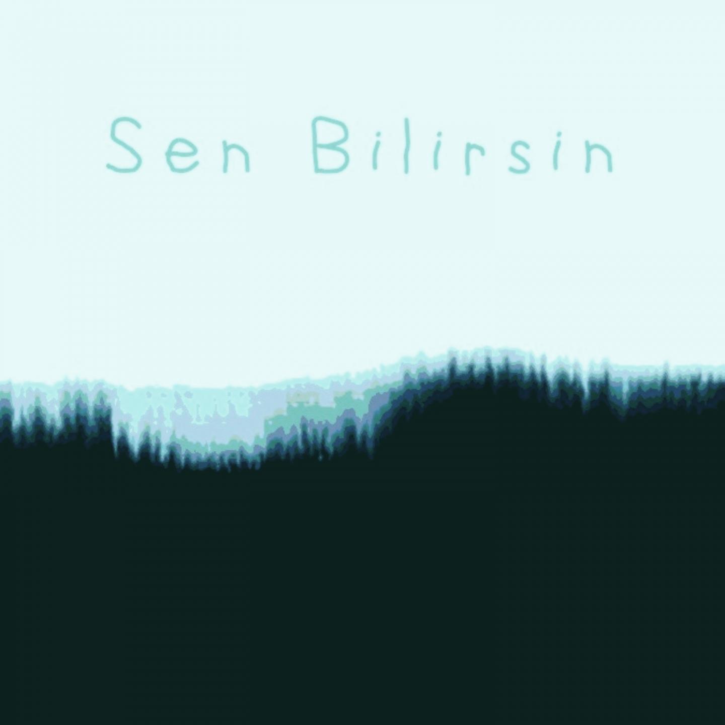 Постер альбома Sen Bilirsin