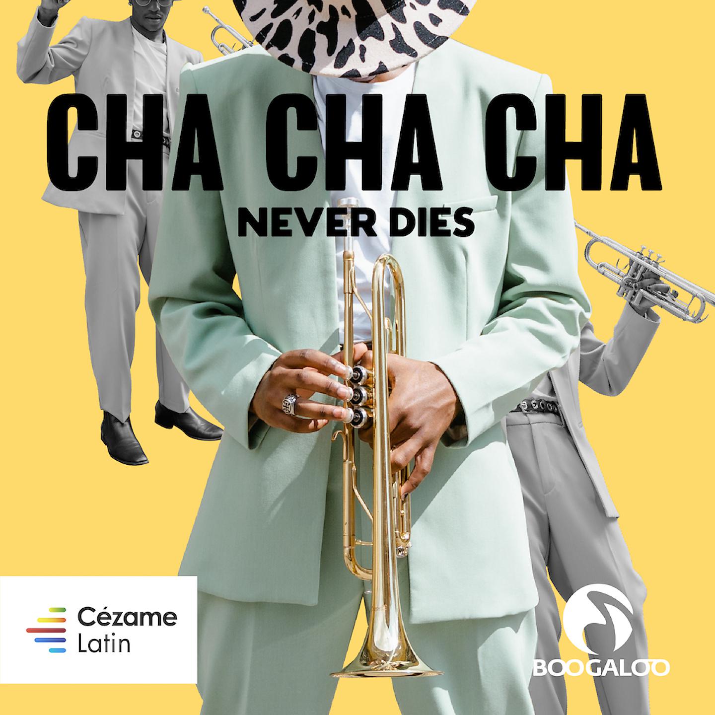 Постер альбома Cha Cha Cha Never Dies
