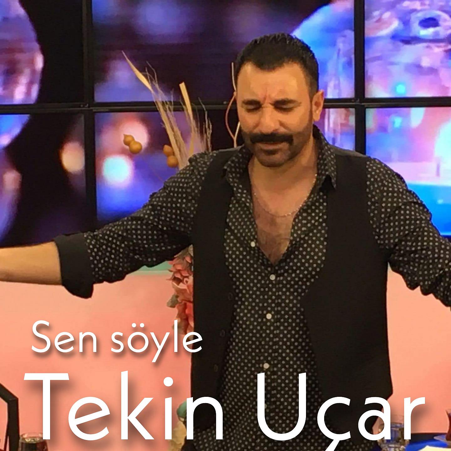 Постер альбома Sen Söyle