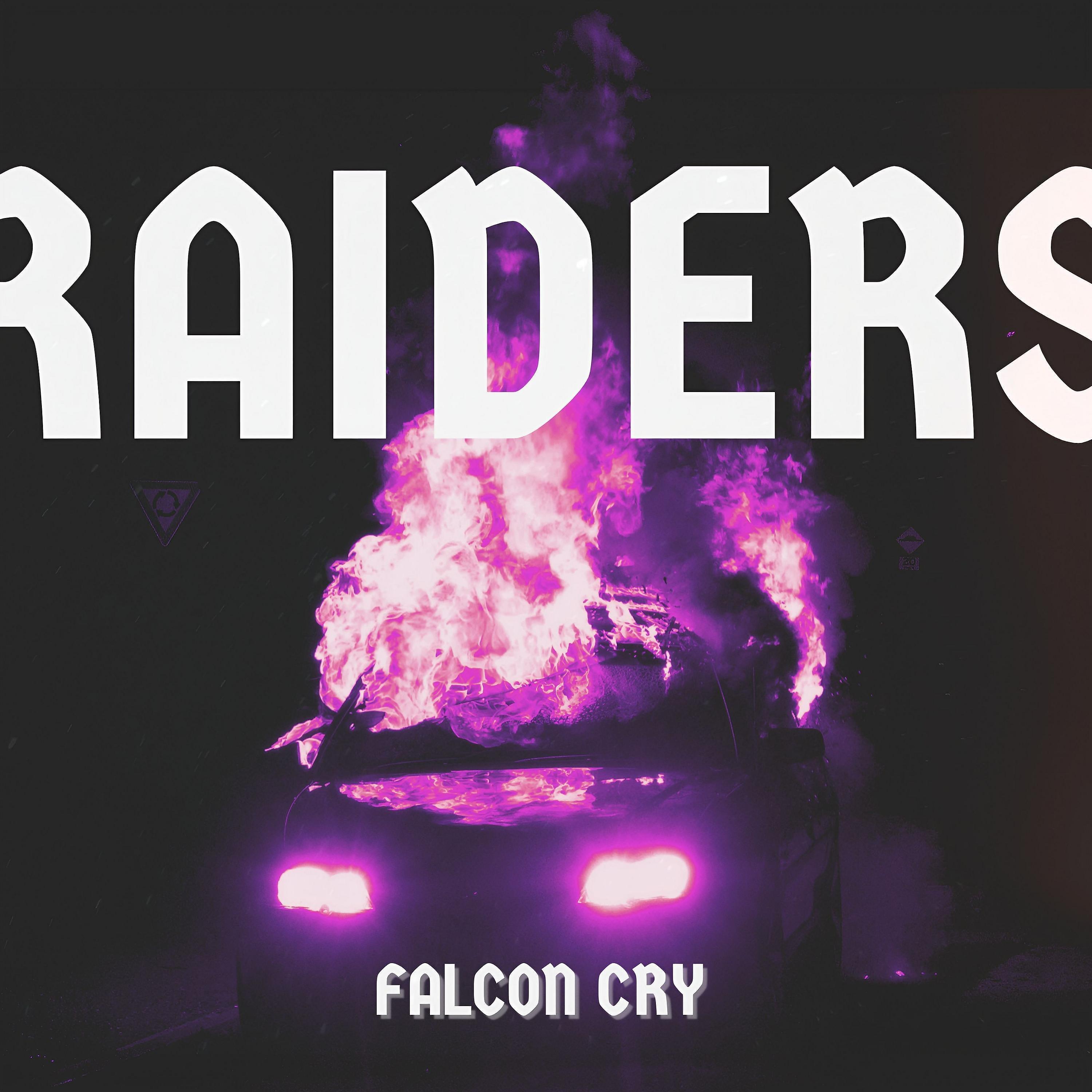 Постер альбома RAIDERS